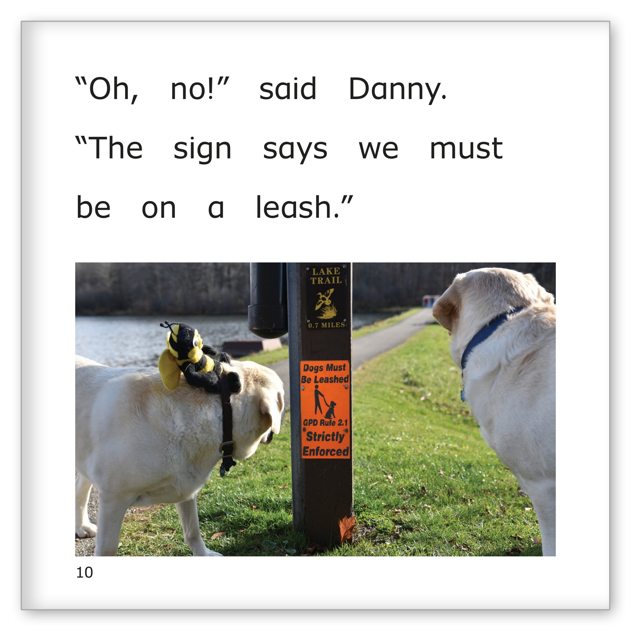 Danny Follows the Signs
