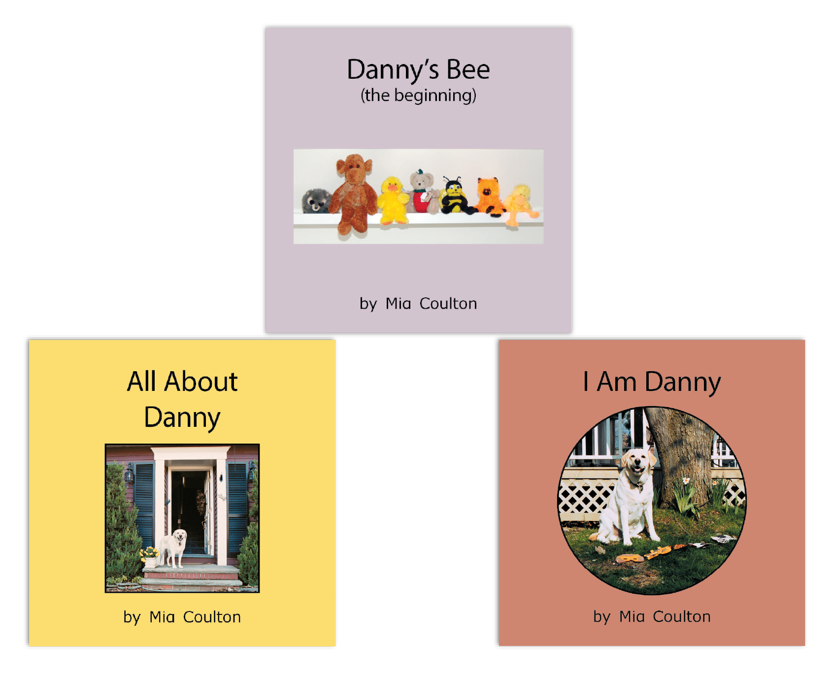 Danny Leveled Set A from Danny Returns, Meet Danny