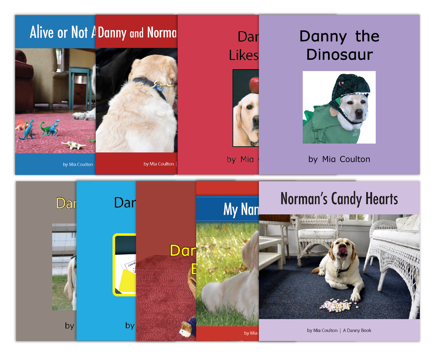 Danny Leveled Set B from Various Series