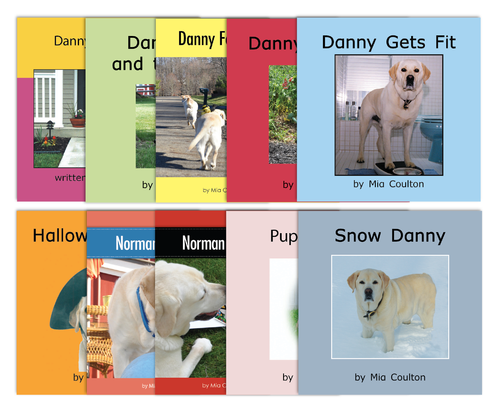 Danny Leveled Set E from Various Series
