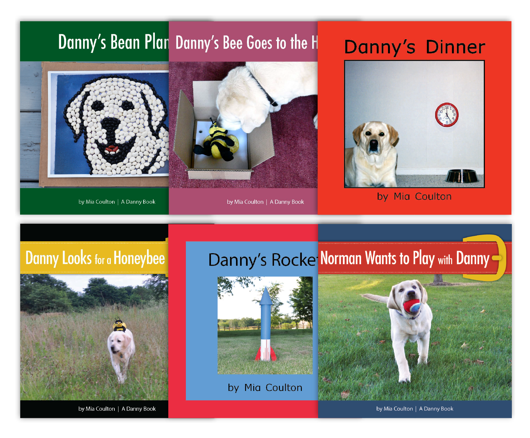 Danny Leveled Set G from Various Series