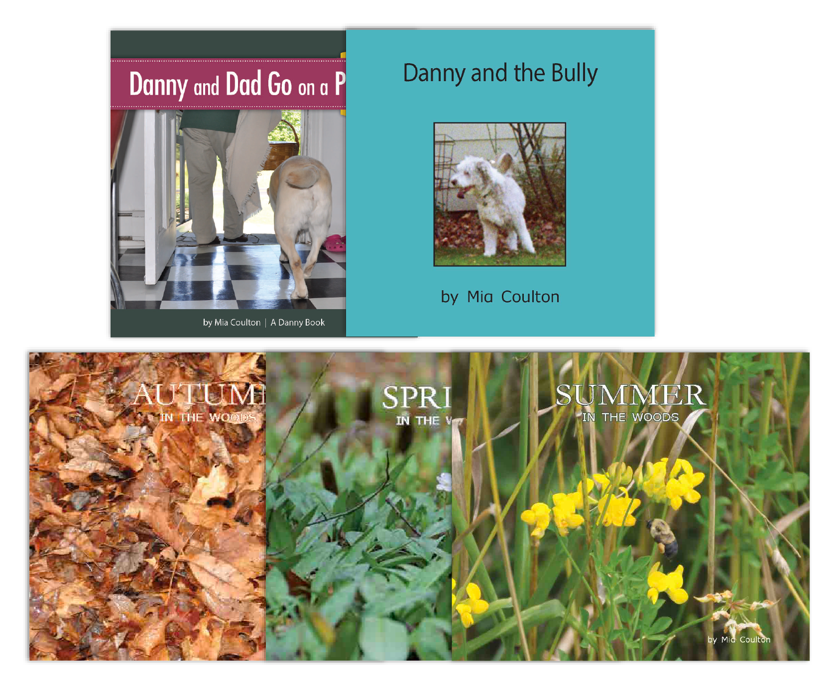 Danny Leveled Set H from Various Series