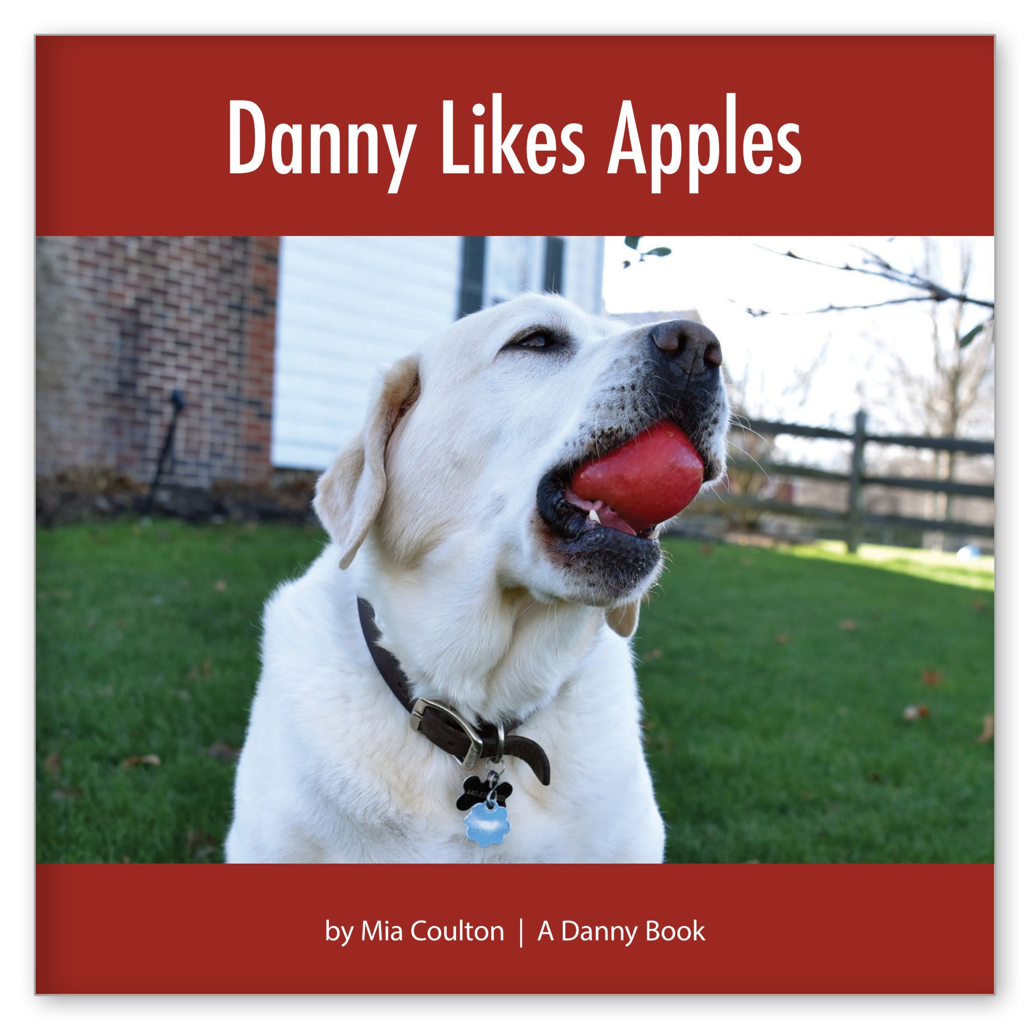 Danny Likes Apples from Lucky Danny