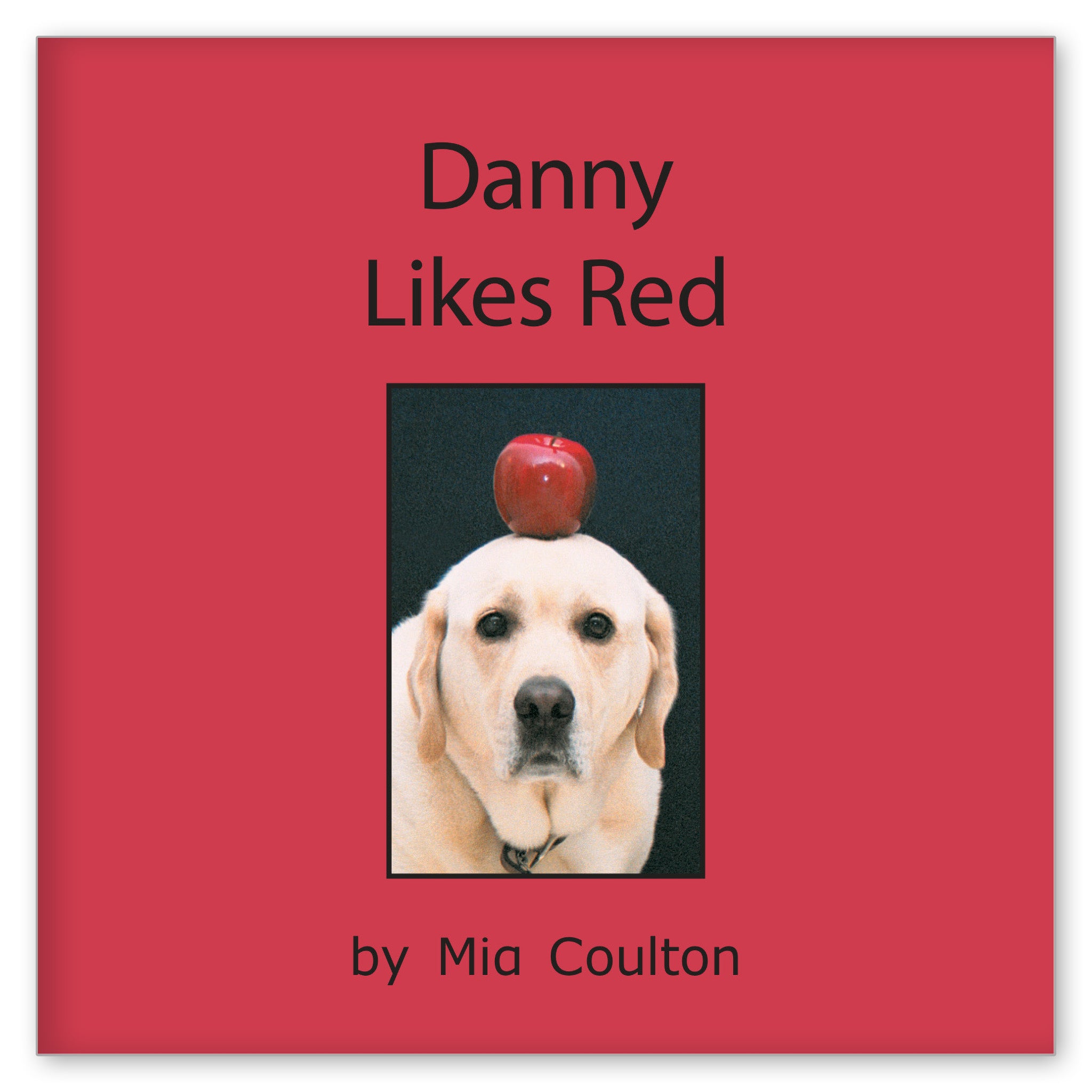Danny Likes Red from Meet Danny