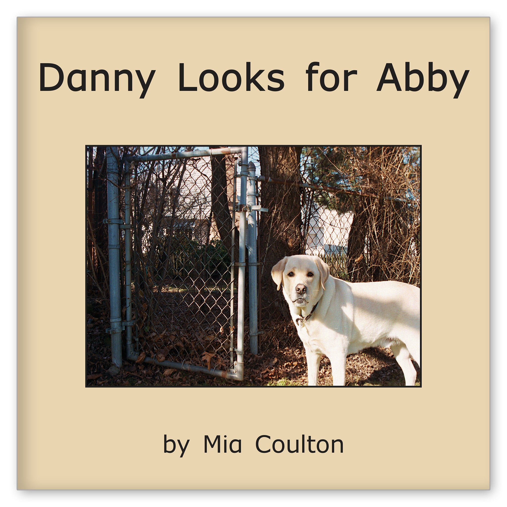 Danny Looks for Abby from More Fun with Danny