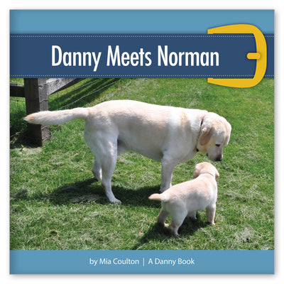 Danny Meets Norman book cover