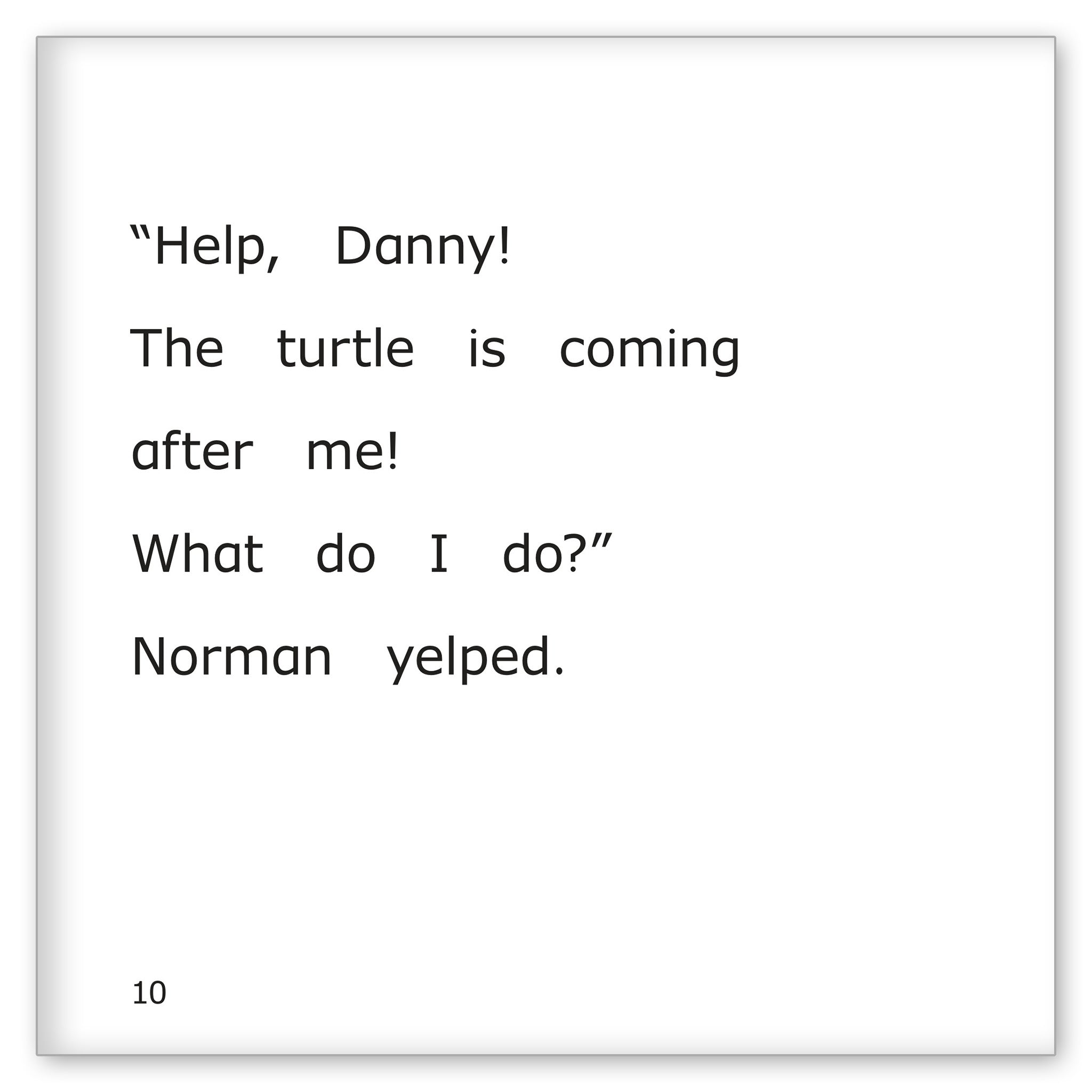 Danny, Norman and the Turtle