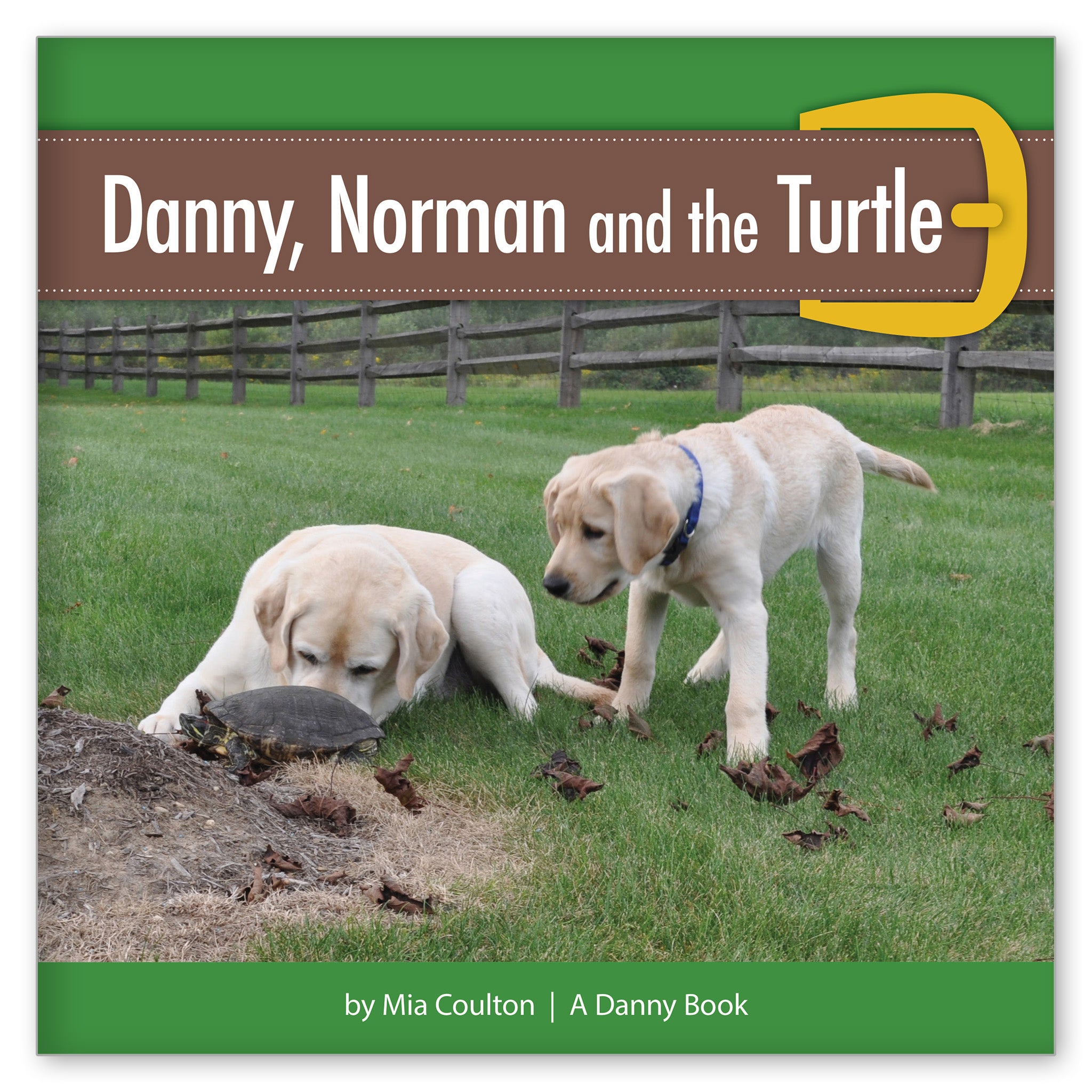 Danny, Norman and the Turtle from Here Comes Norman