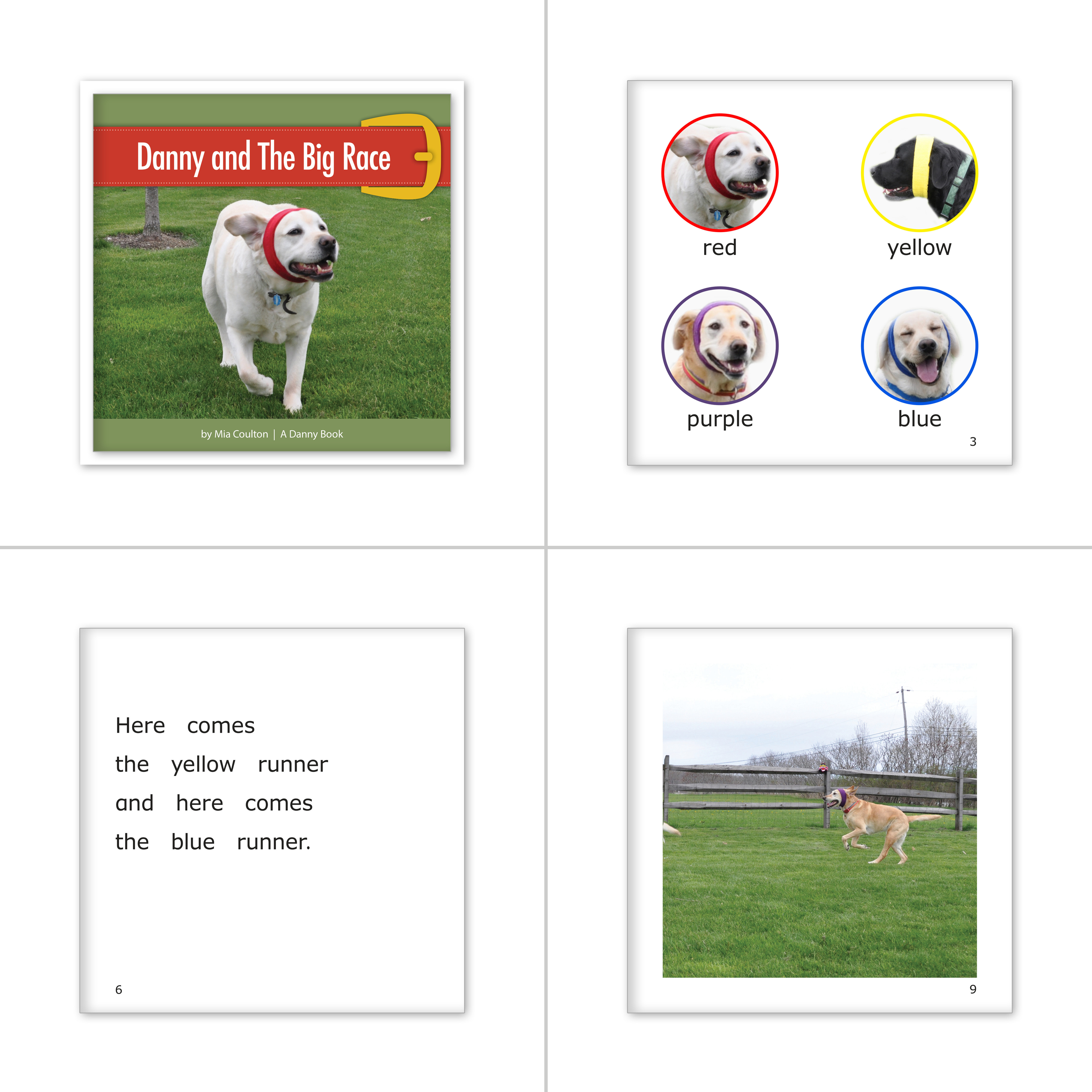 Danny Set 12 - Danny by the Dozen