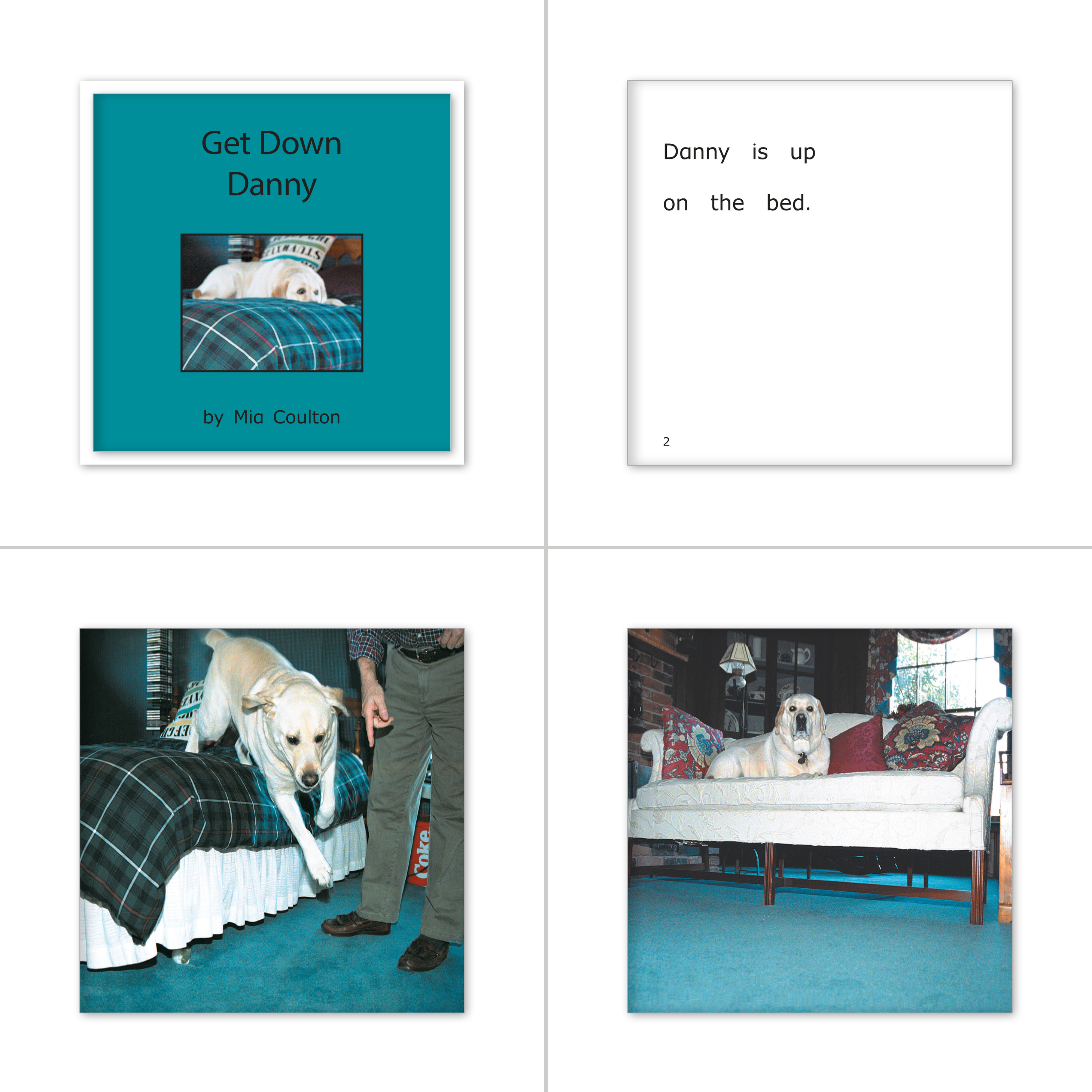 Danny Set 3 - Meet Danny