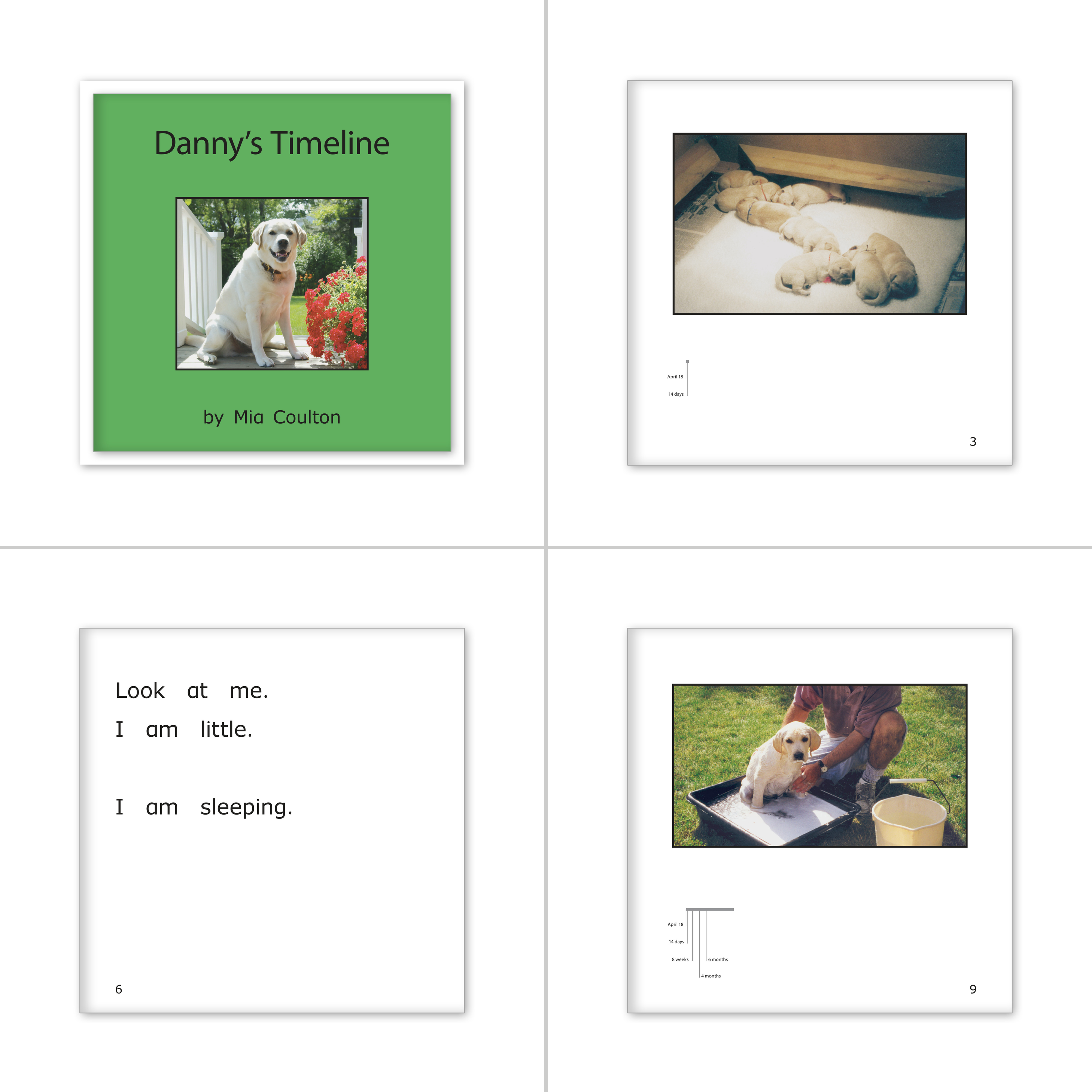 Danny Set 4 - Danny is Back