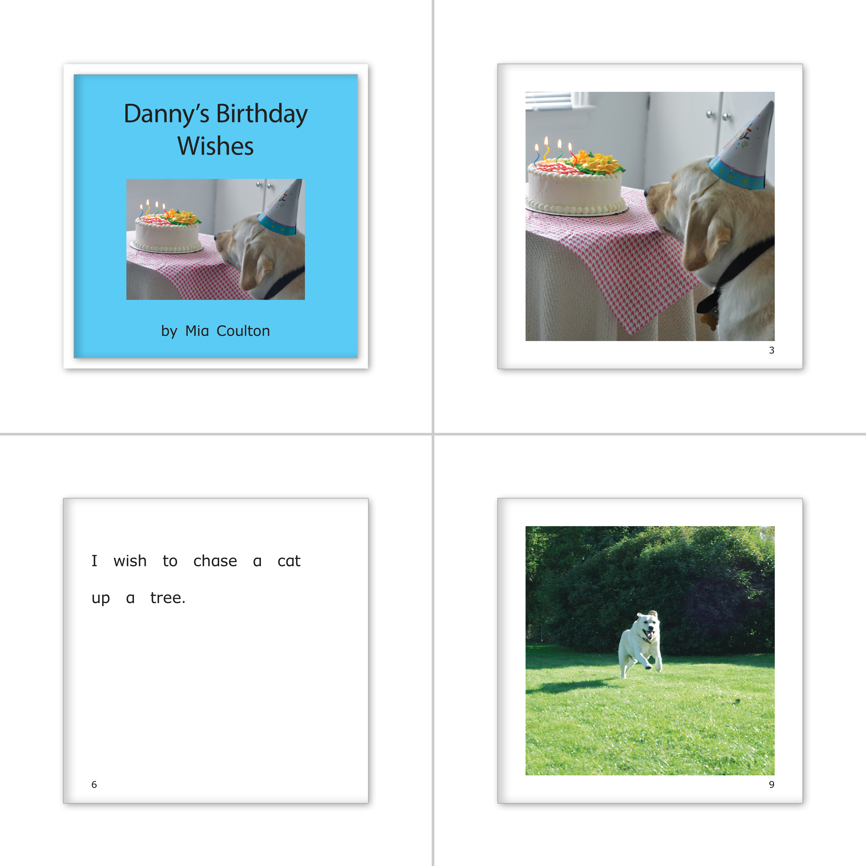 Danny Set 7 - Danny Days