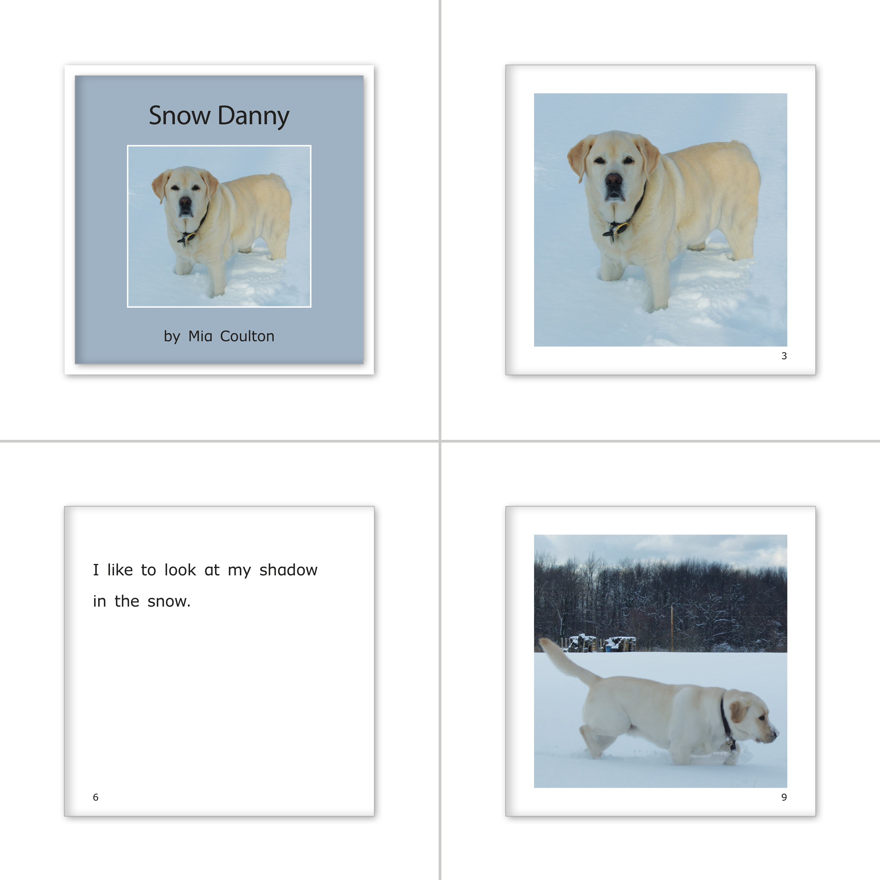 Danny Set 7 - Danny Days