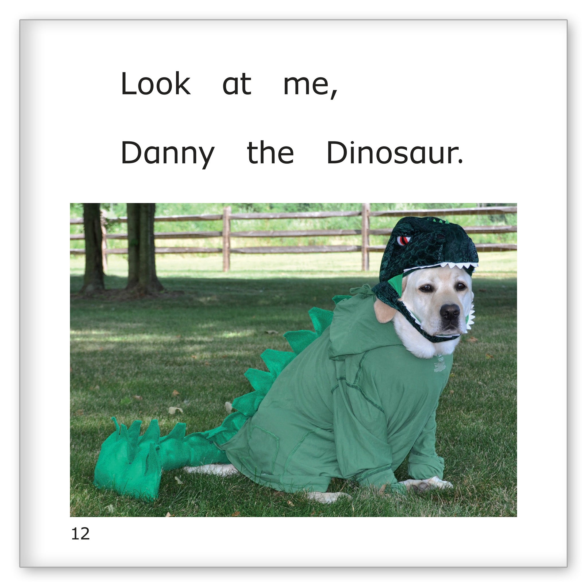 Danny the Dinosaur