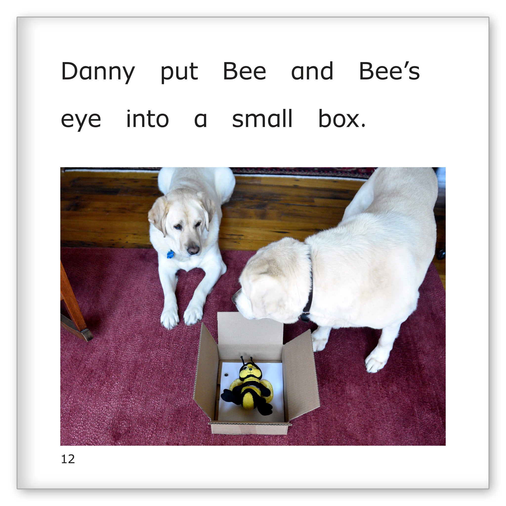 Danny's Bee Goes to the Hospital