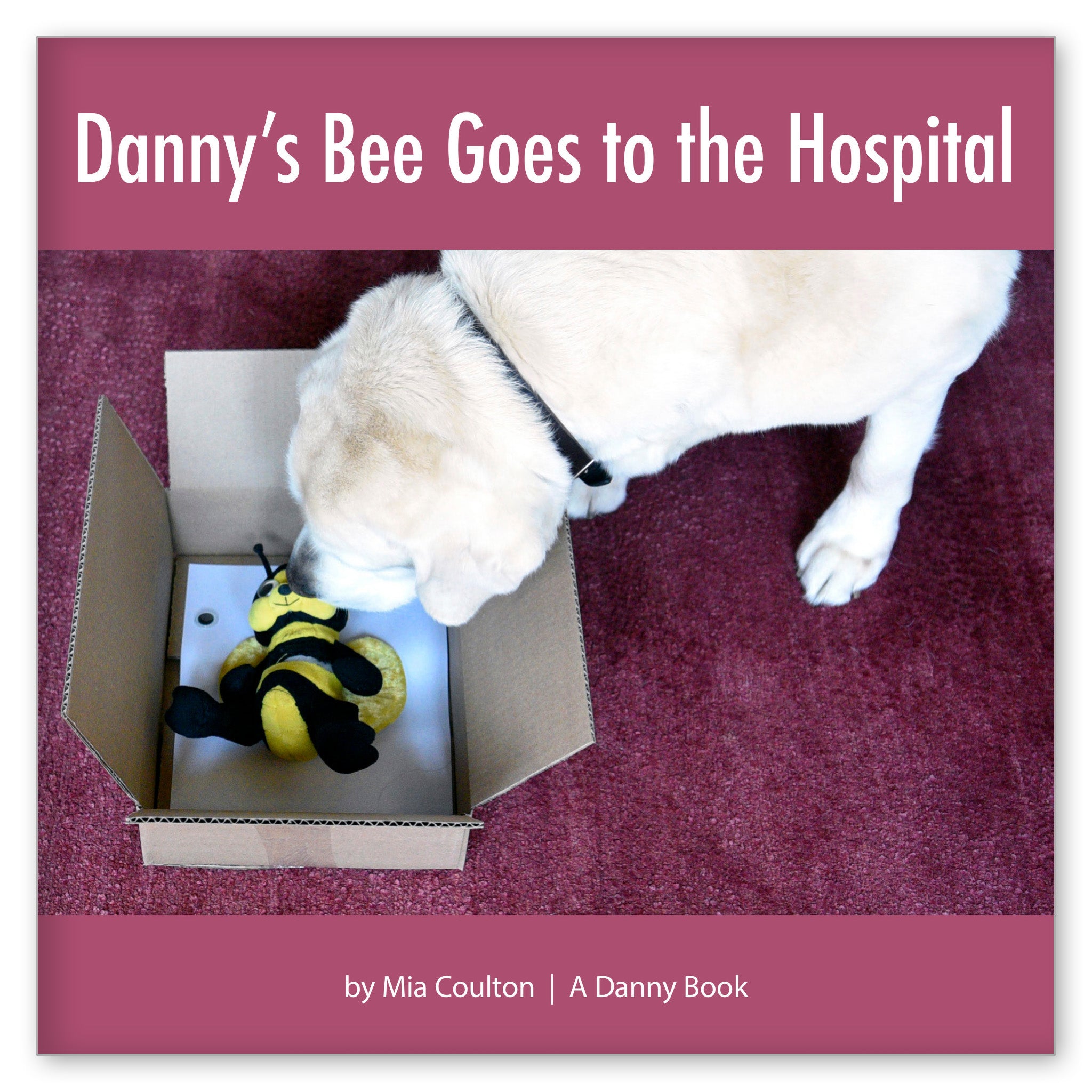 Danny's Bee Goes to the Hospital from I Dream of Danny
