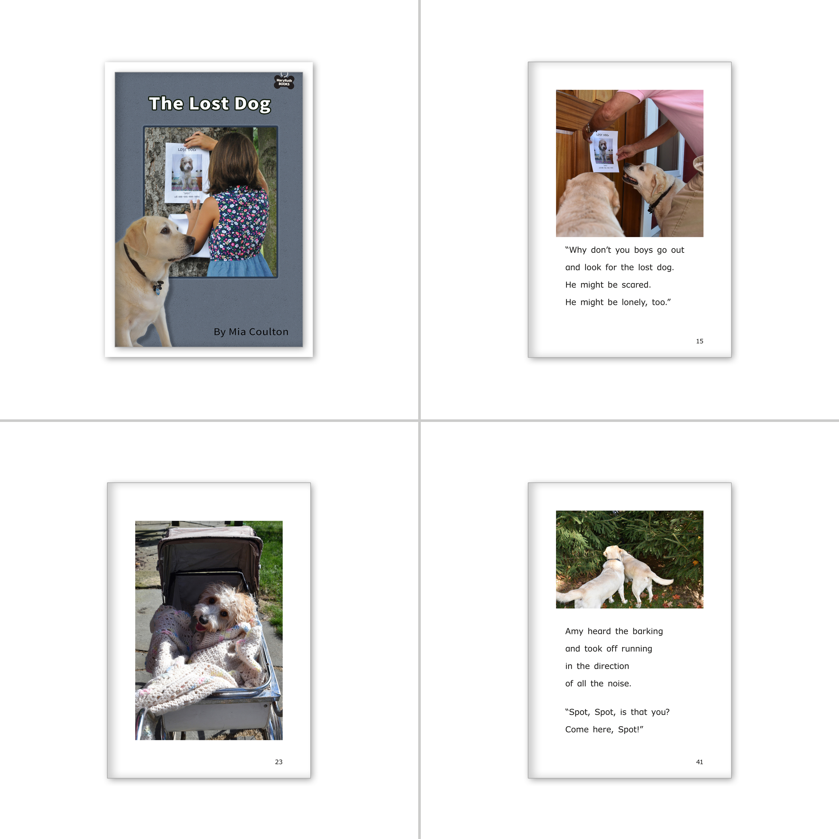 Danny's Big Adventure Chapter Book Set