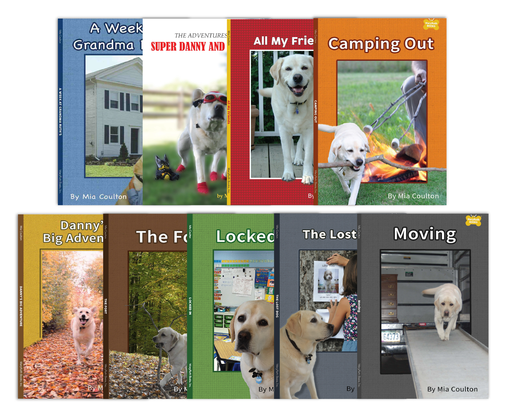 Danny's Big Adventure Chapter Book Set from Danny's Big Adventure Chapter Books