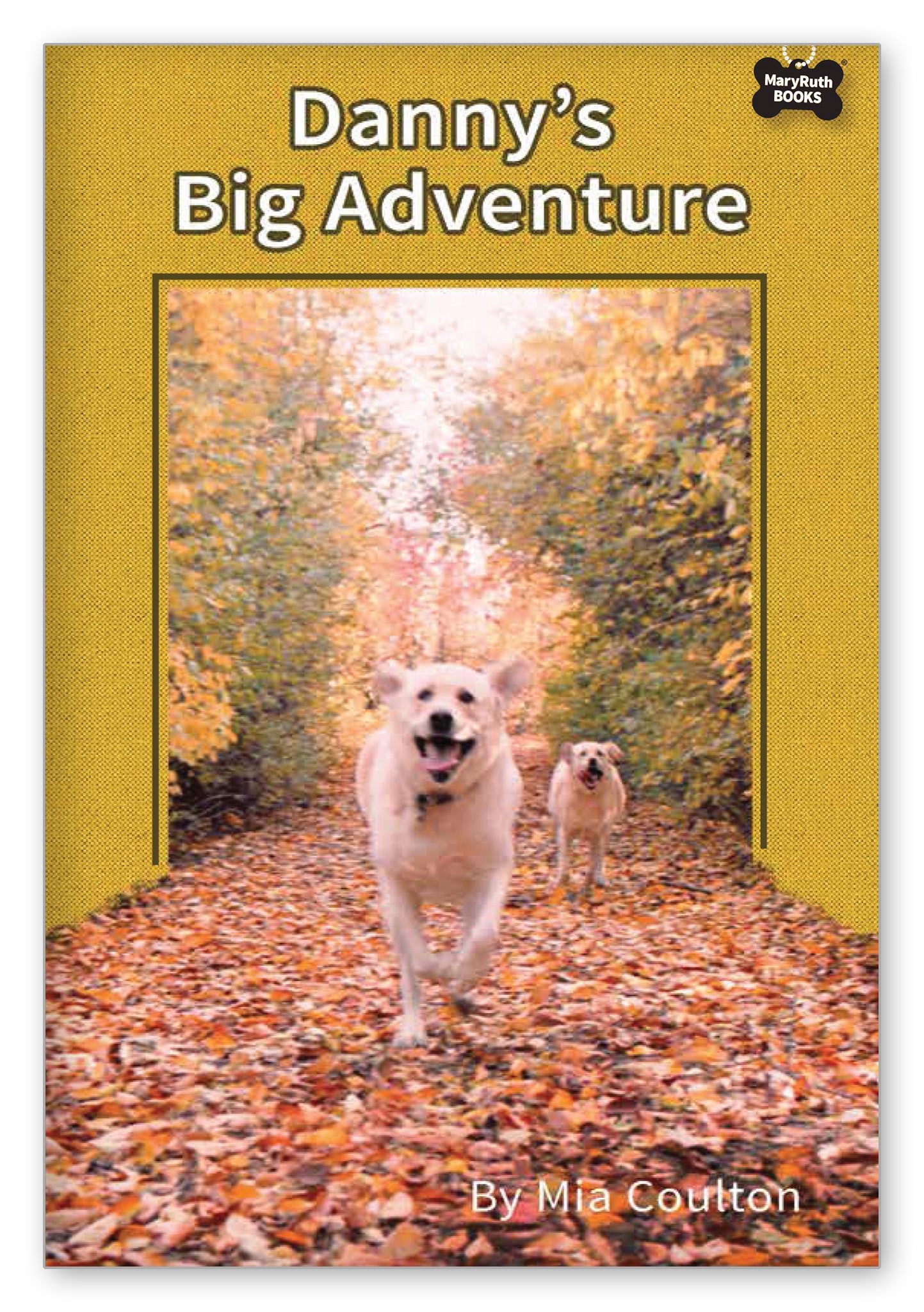 Danny's Big Adventure from Danny's Big Adventure Chapter Books