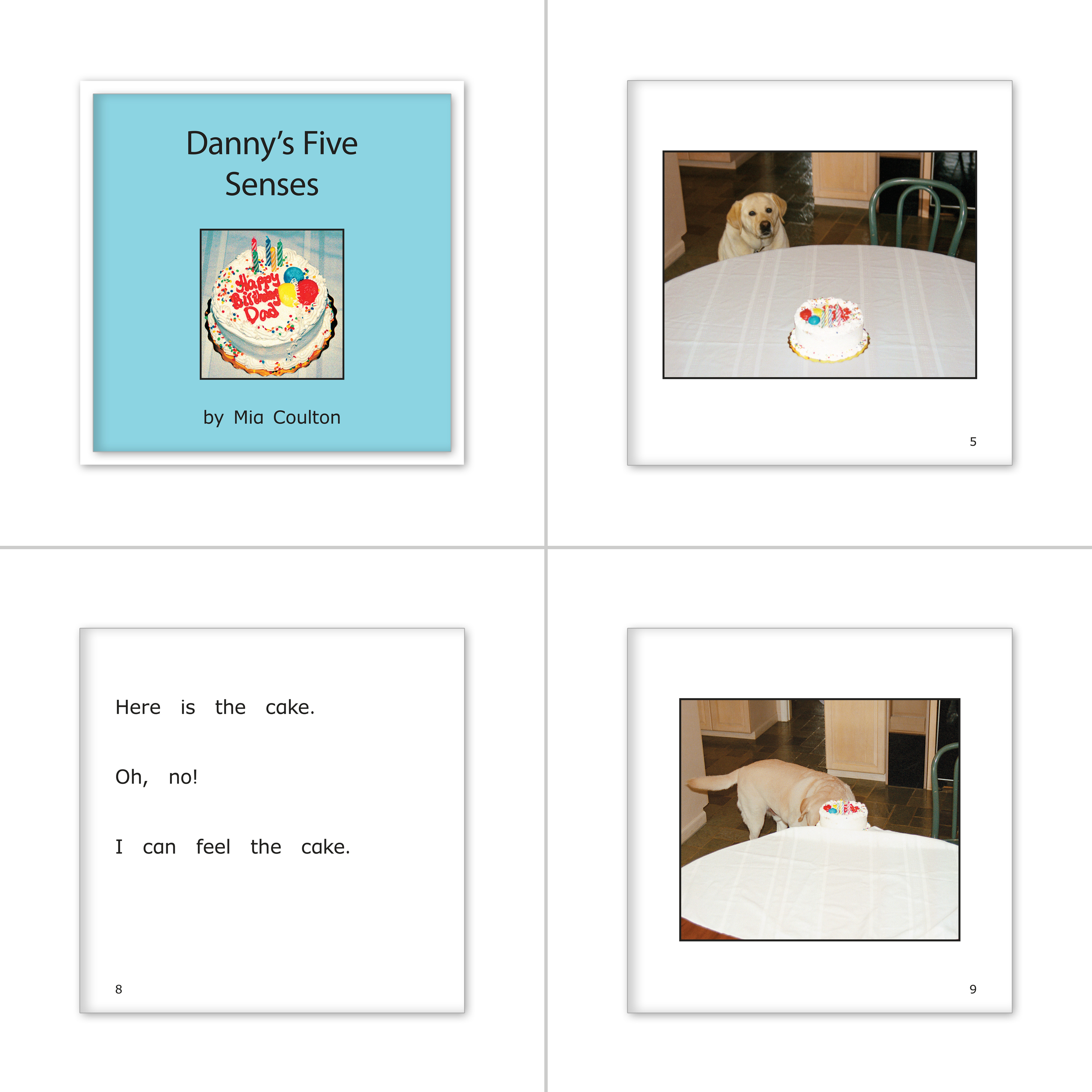 Danny's Birthday Set