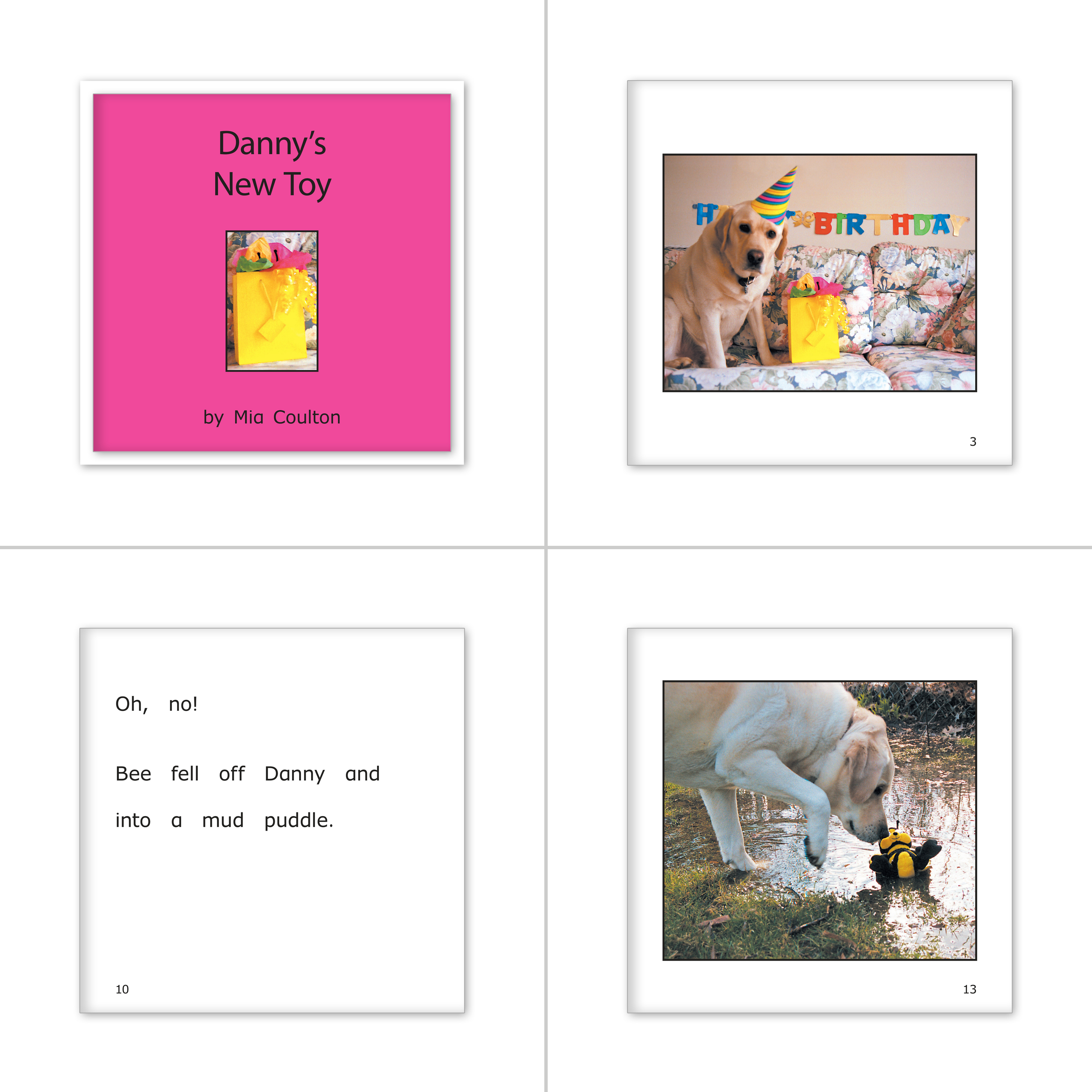 Danny's Birthday Set