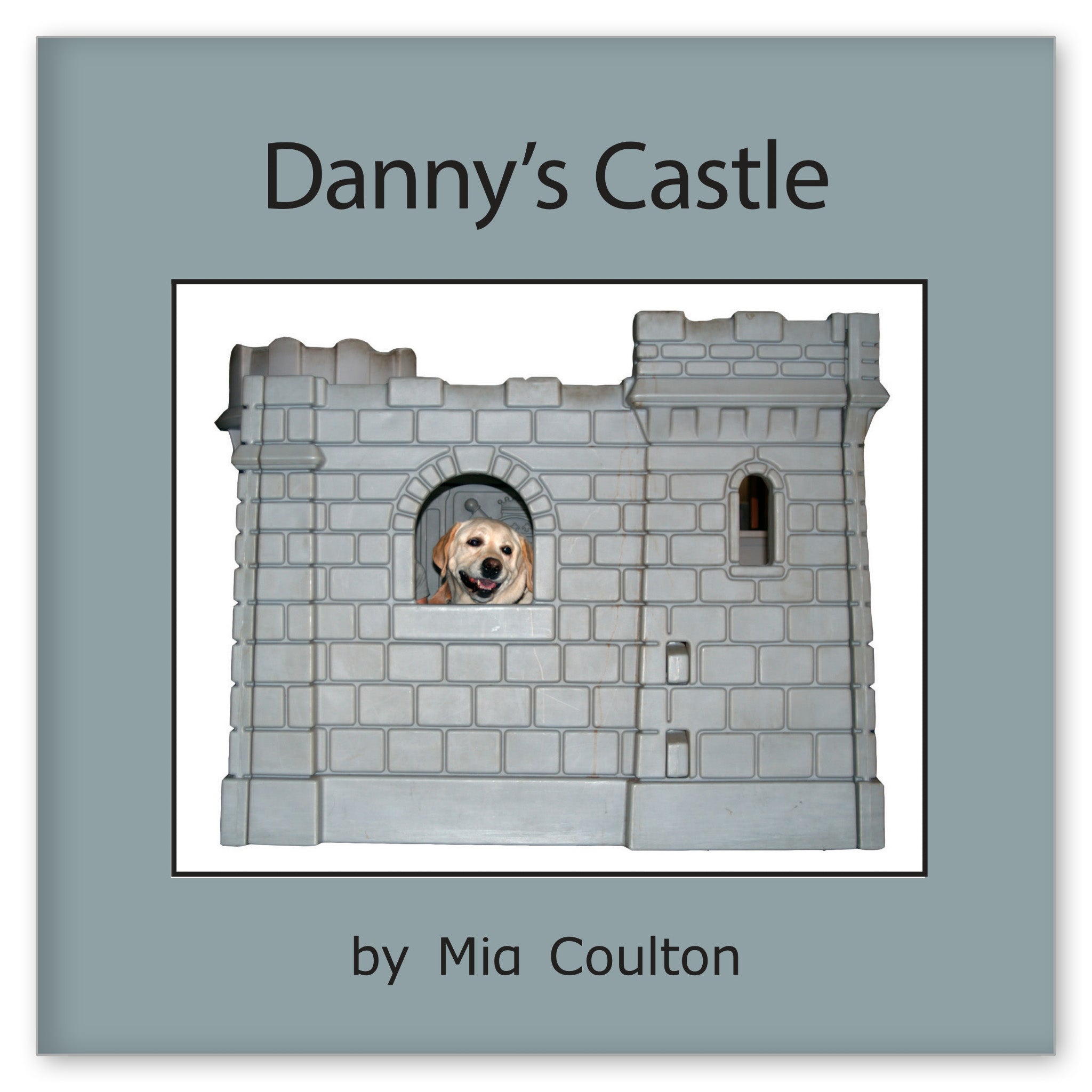 Danny's Castle from Danny! Danny! Danny!