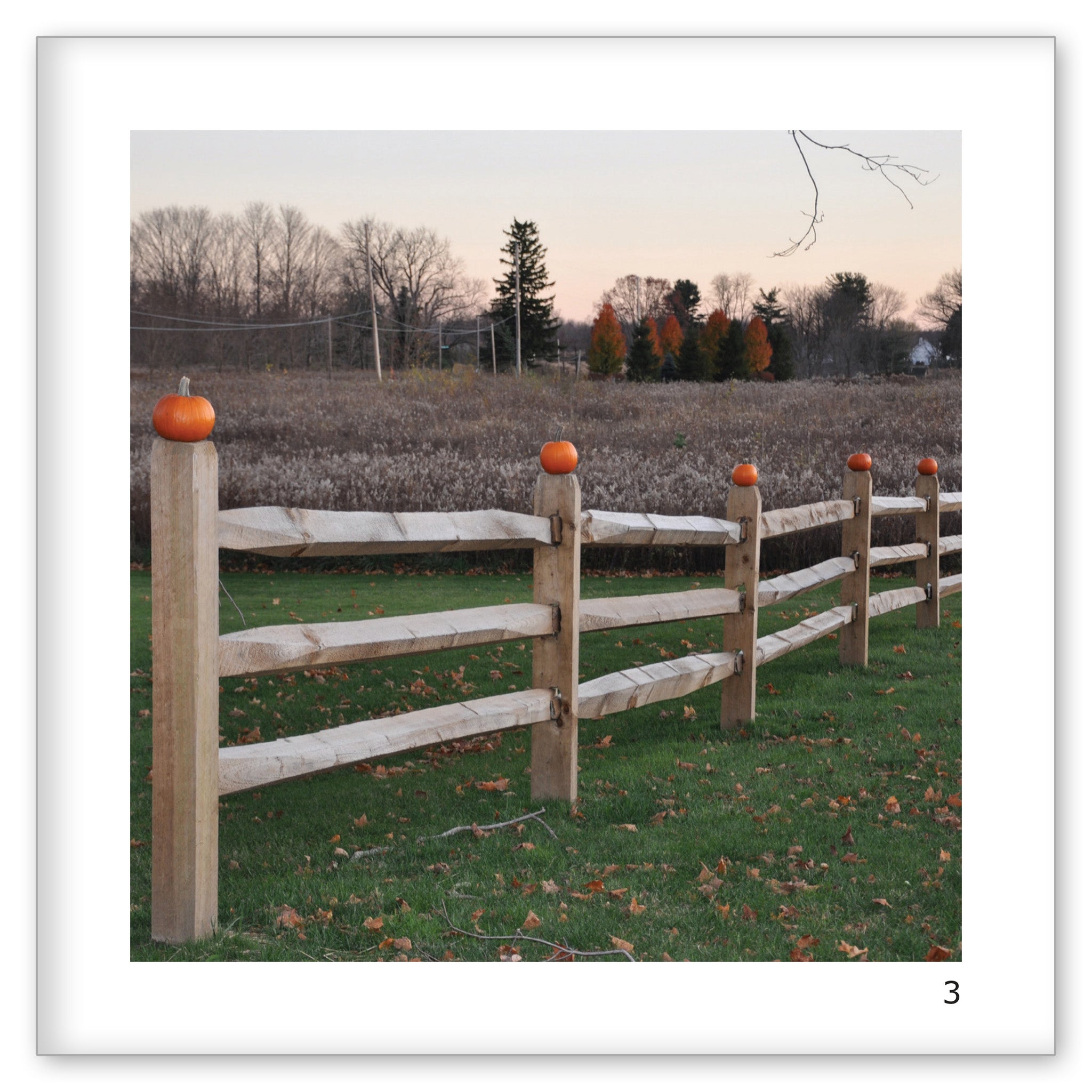Danny's Five Little Pumpkins