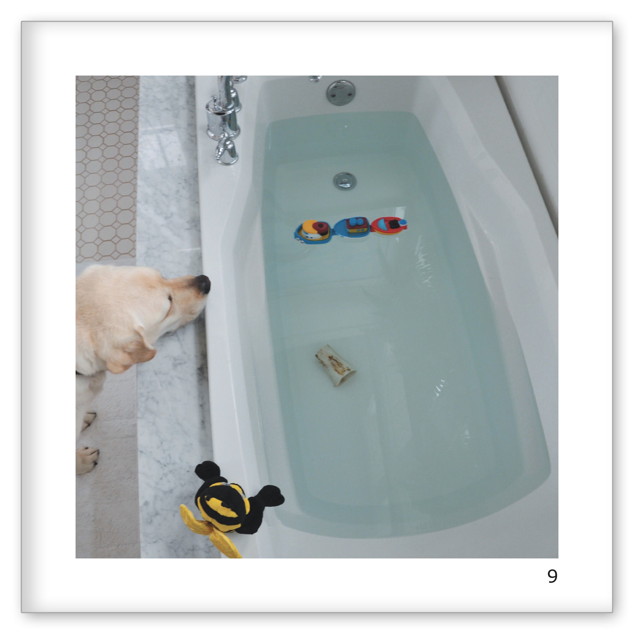 Danny's Game of Sink or Float