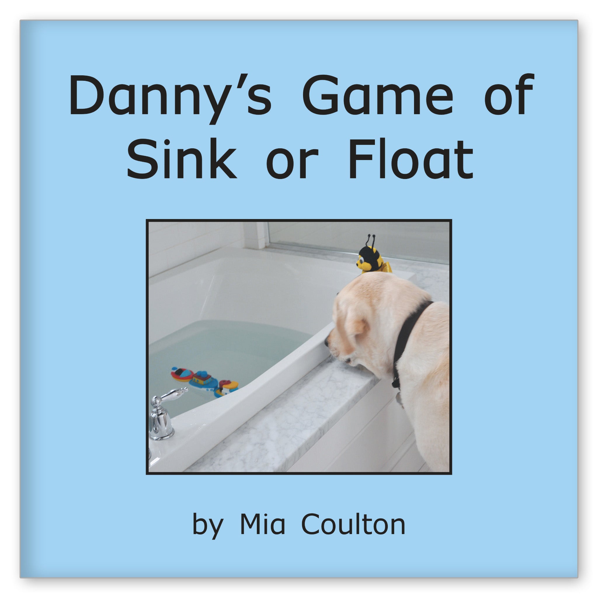 Danny's Game of Sink or Float from Dynamo Danny