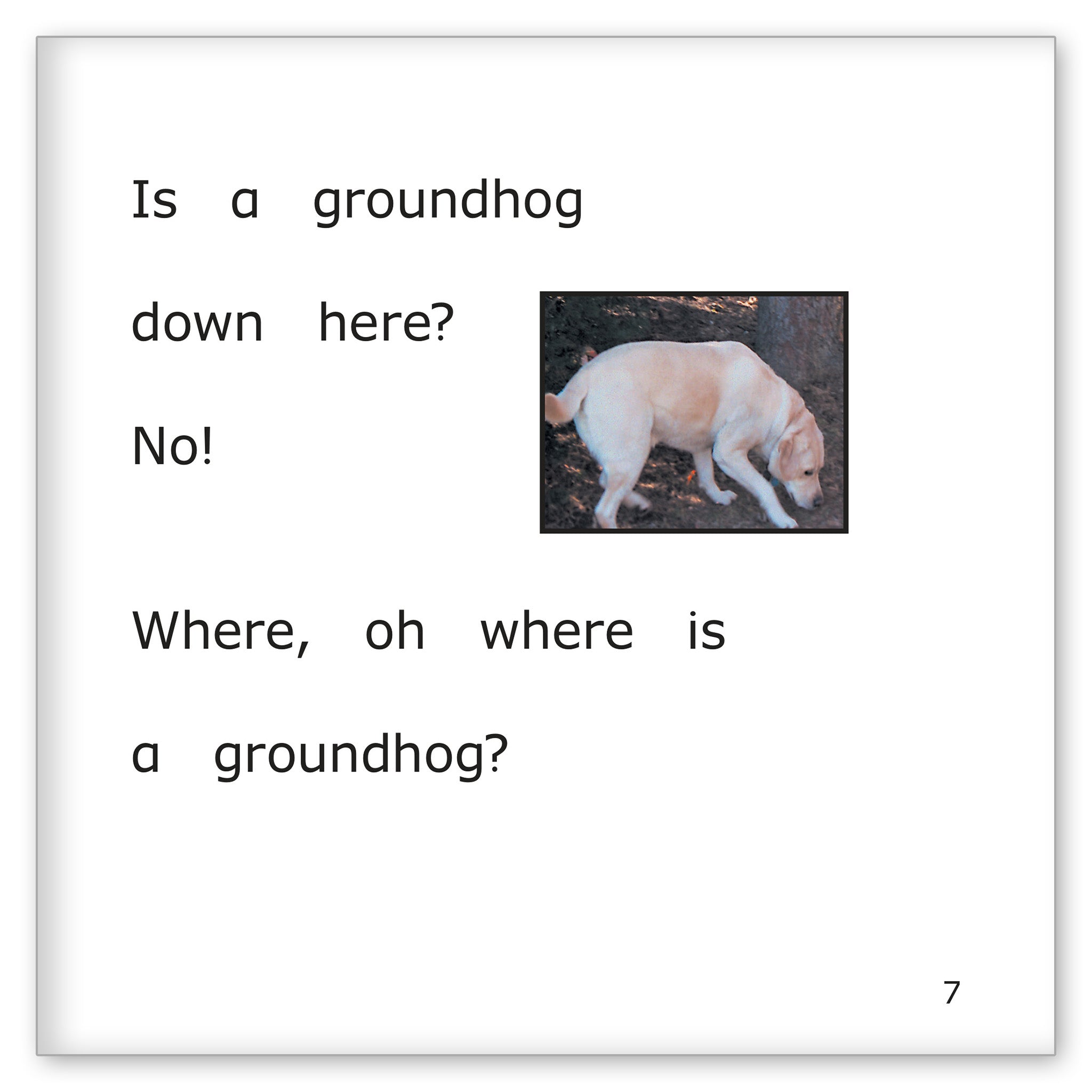Danny's Groundhog Day