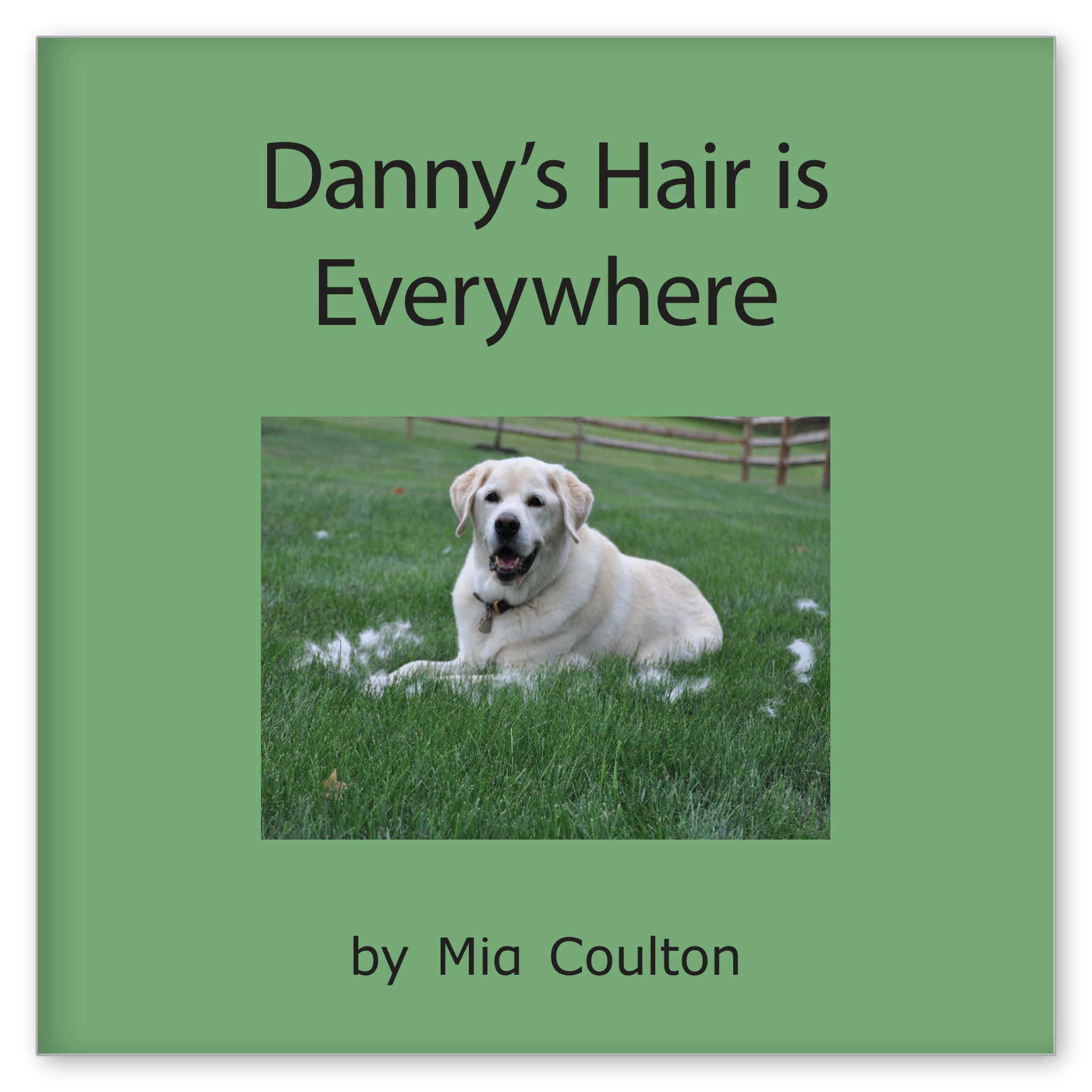 Danny's Hair is Everywhere from Danny Days