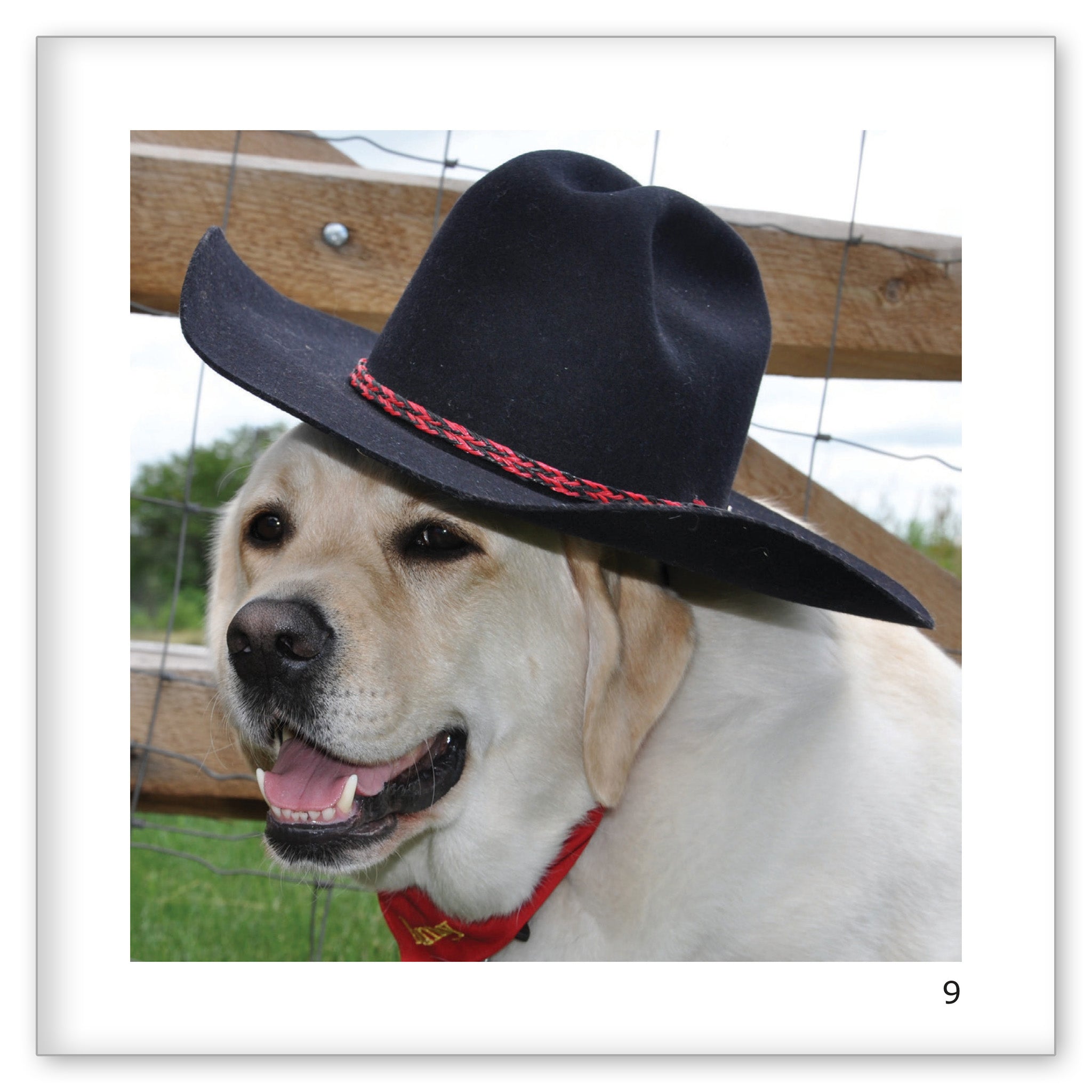 Danny's Hats