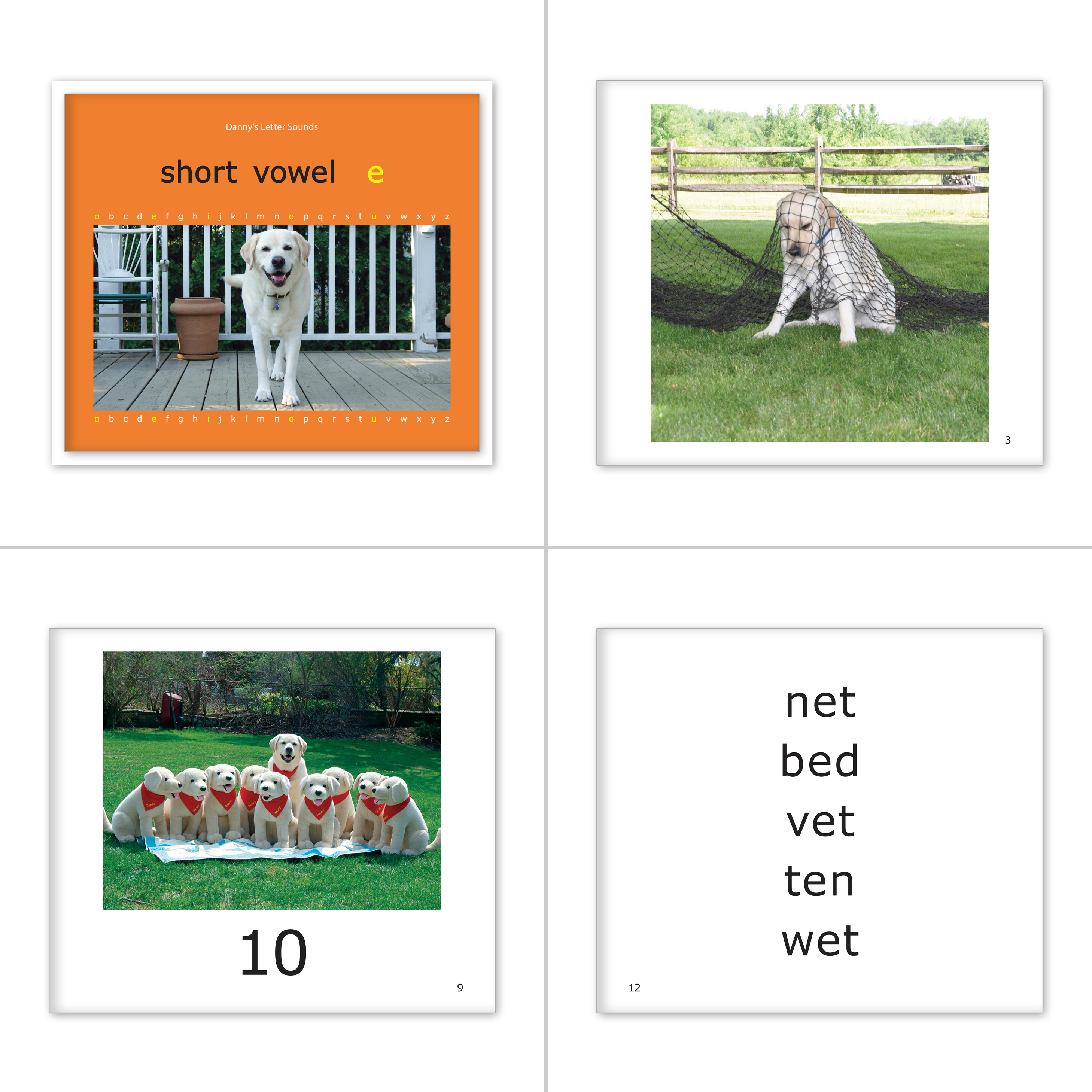 Danny's Letter Sounds - Short Vowels Set