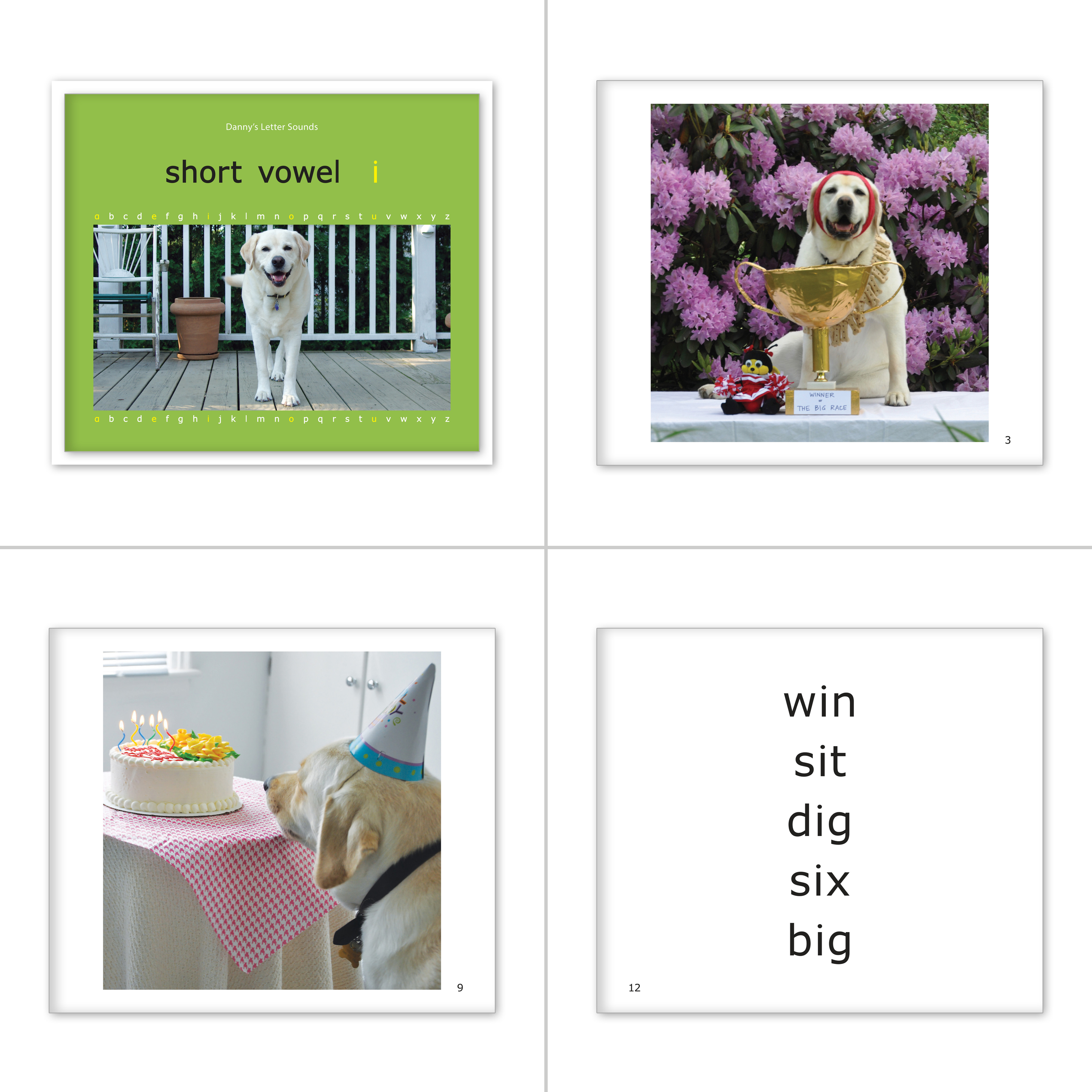 Danny's Letter Sounds - Short Vowels Set