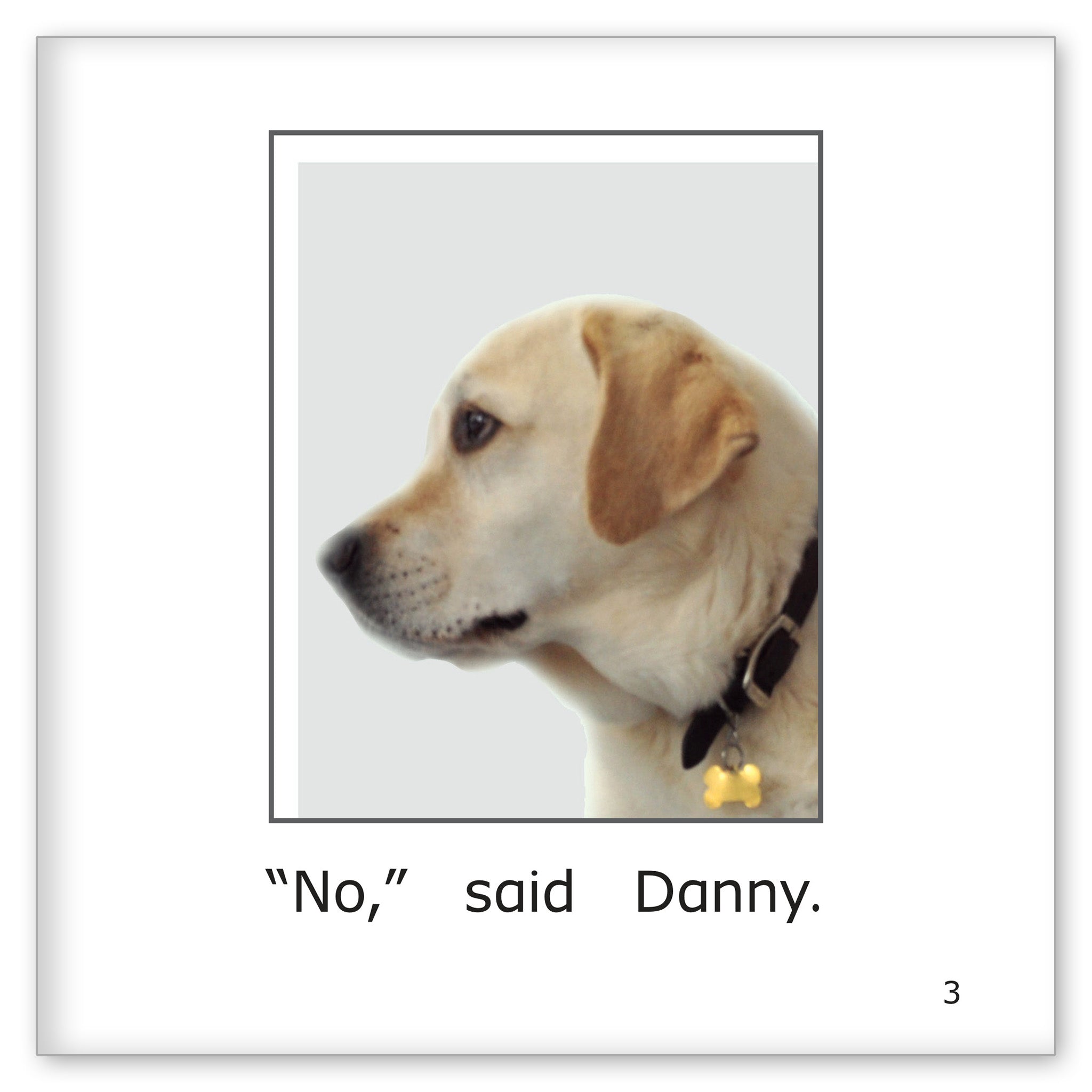 Danny's Picture Day