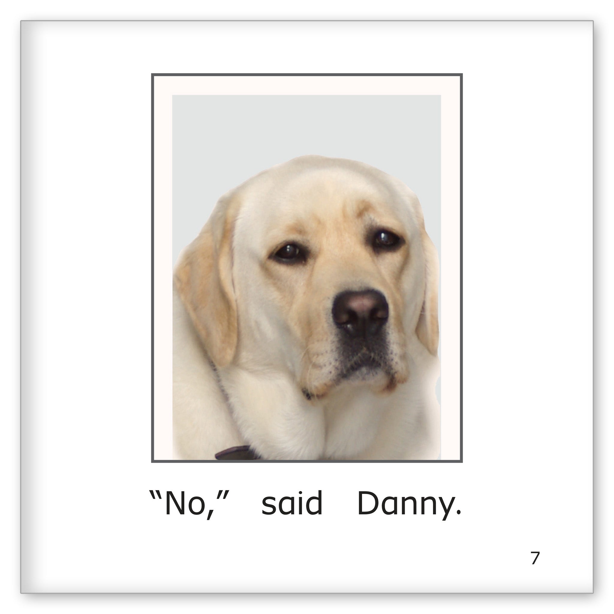 Danny's Picture Day
