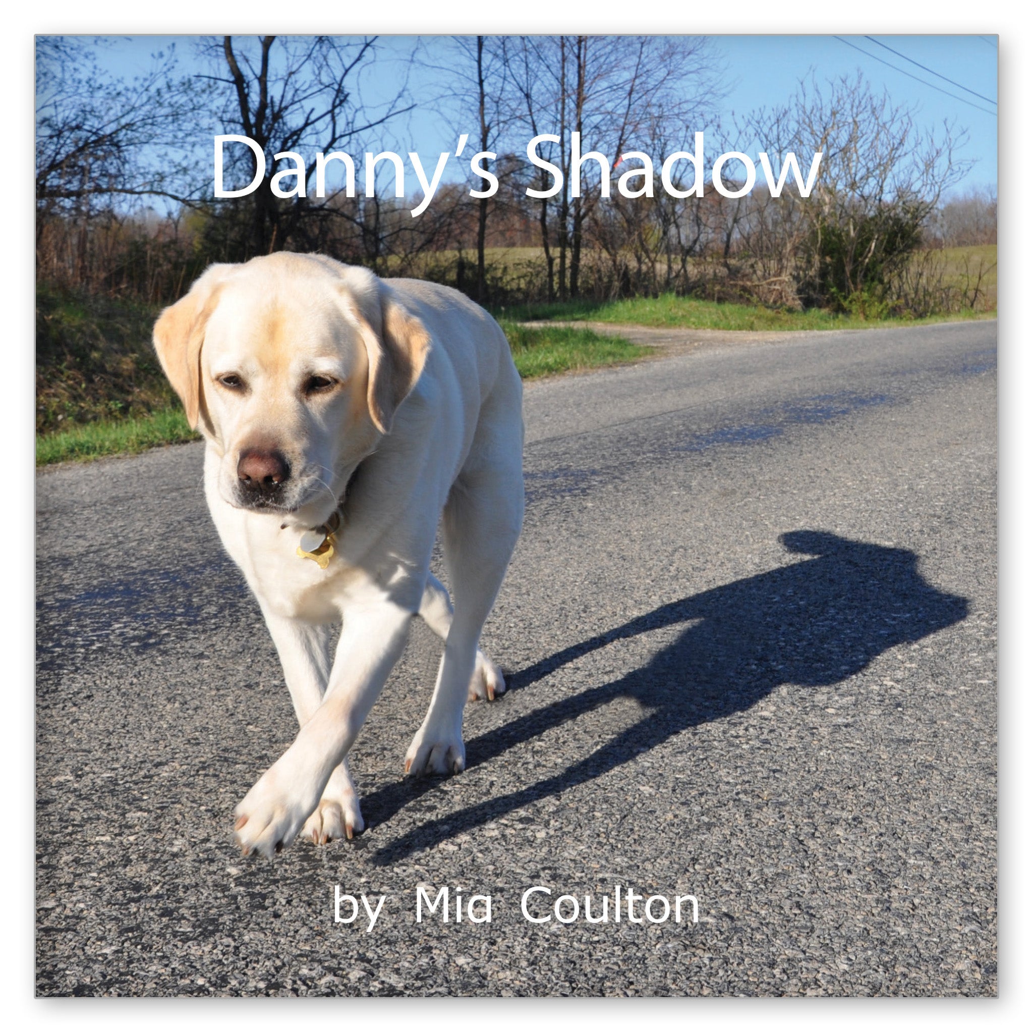 Danny's Shadow from Oh, Danny Boy