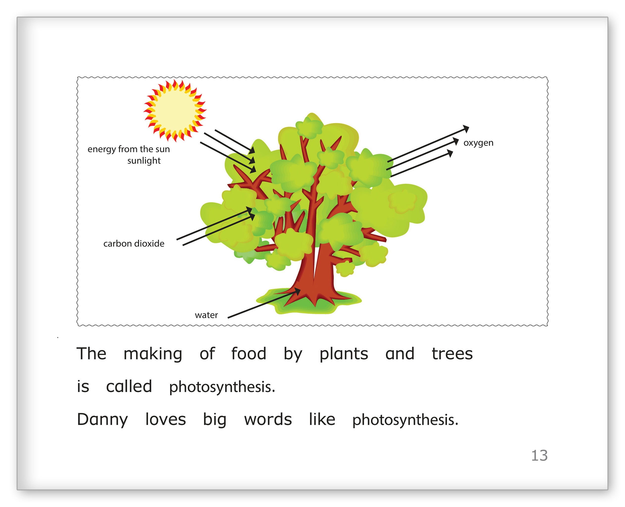 Danny's Special Tree