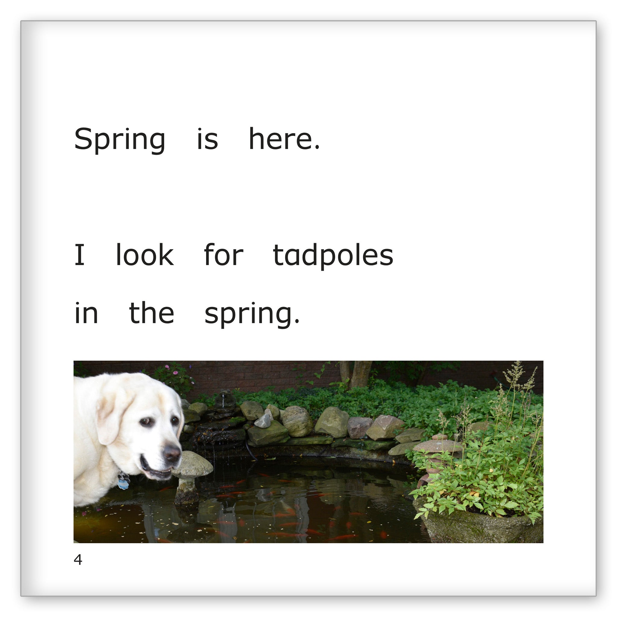 Danny's Tadpoles