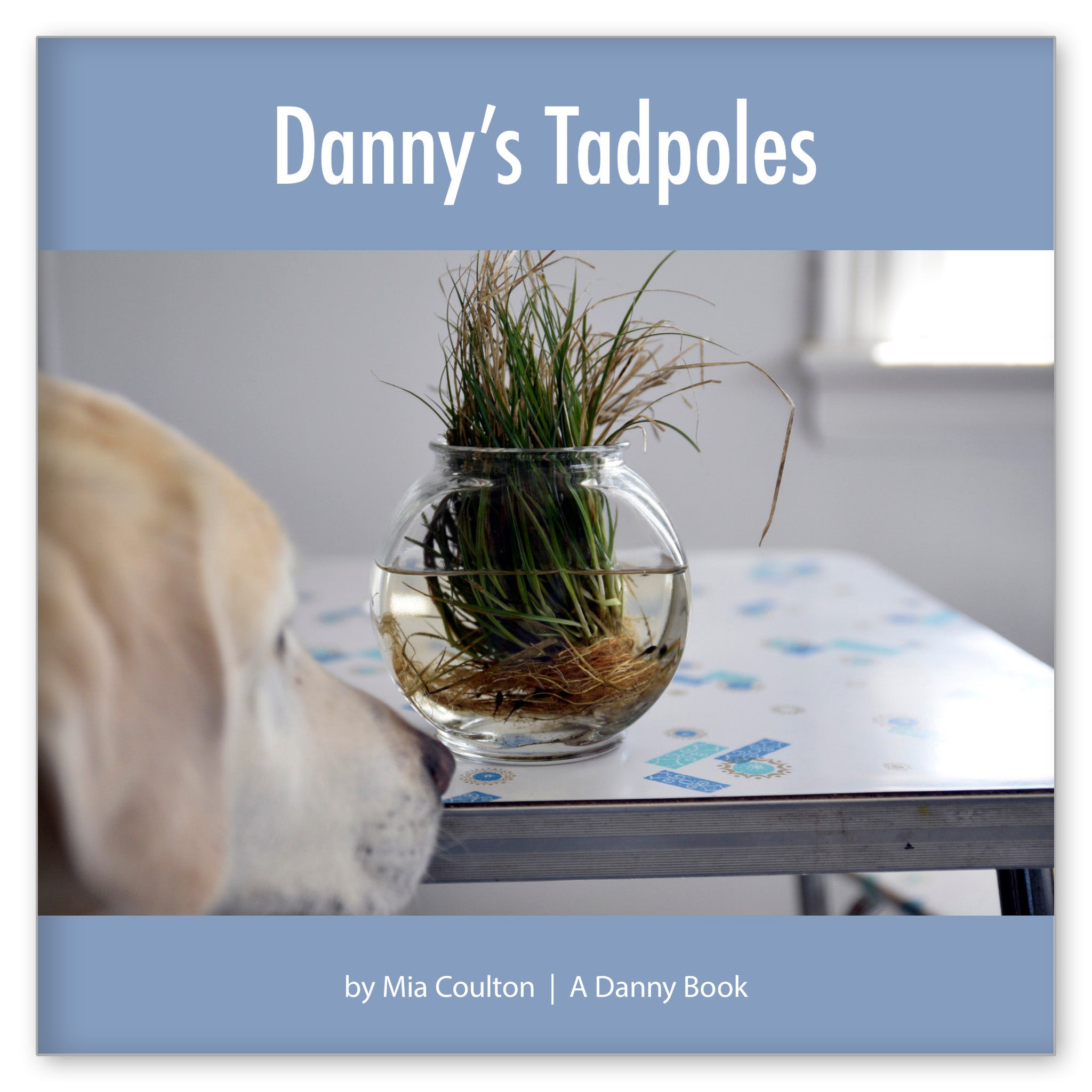 Danny's Tadpoles from I Dream of Danny