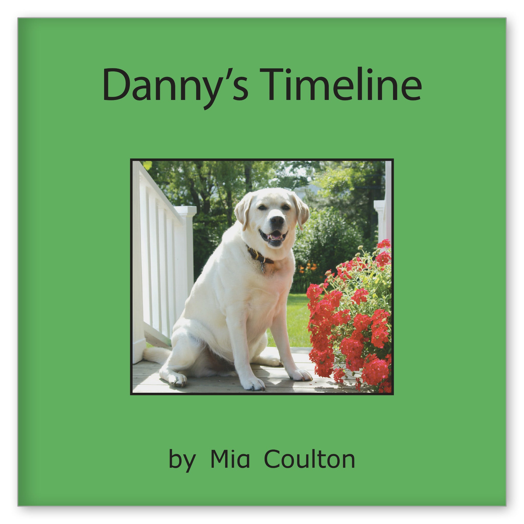 Danny's Timeline from Danny is Back