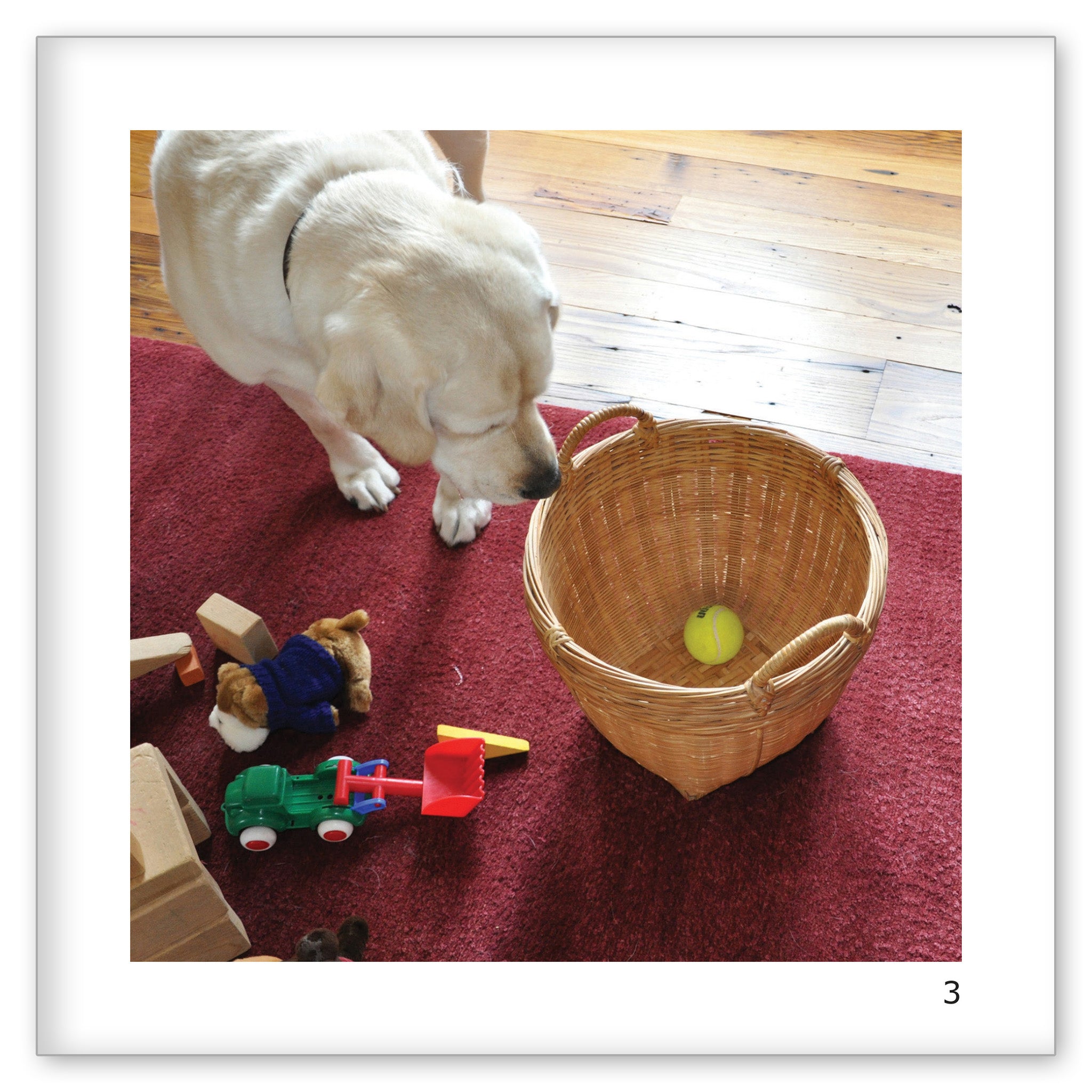 Danny's Toy Basket