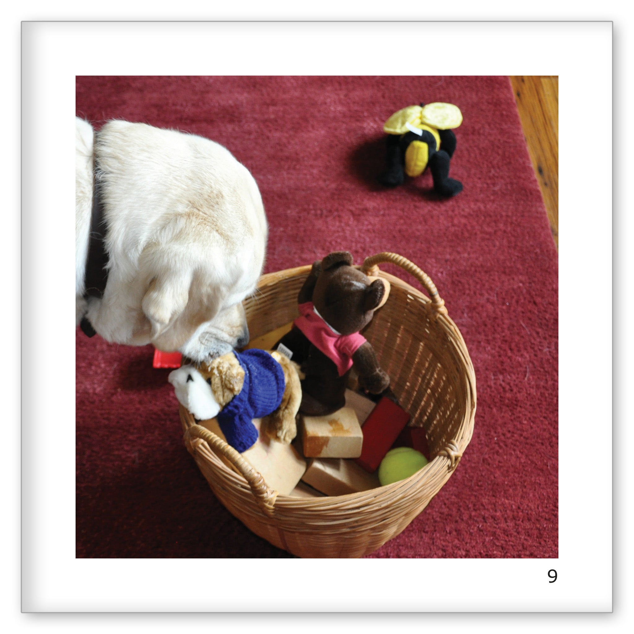 Danny's Toy Basket