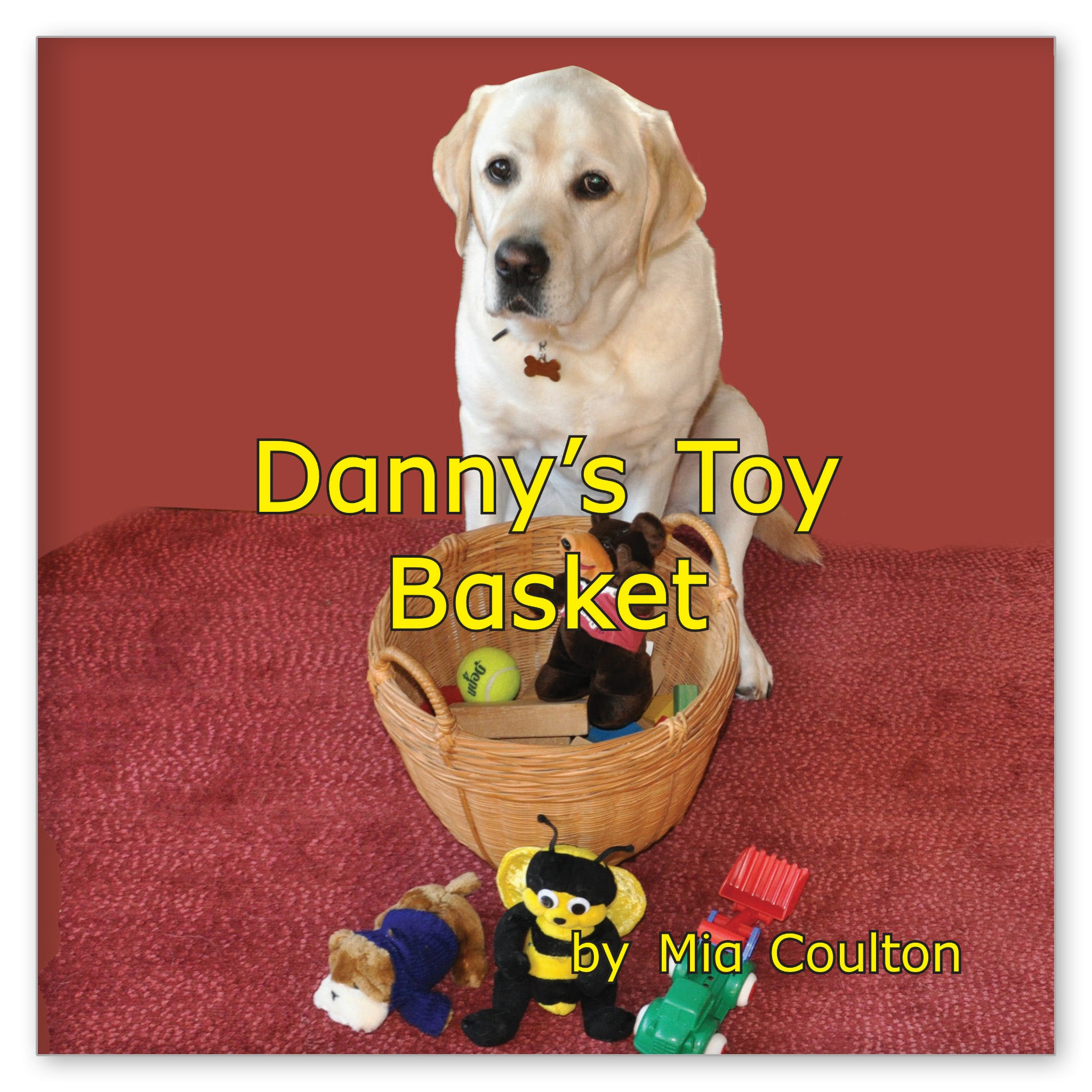 Danny's Toy Basket from Oh, Danny Boy