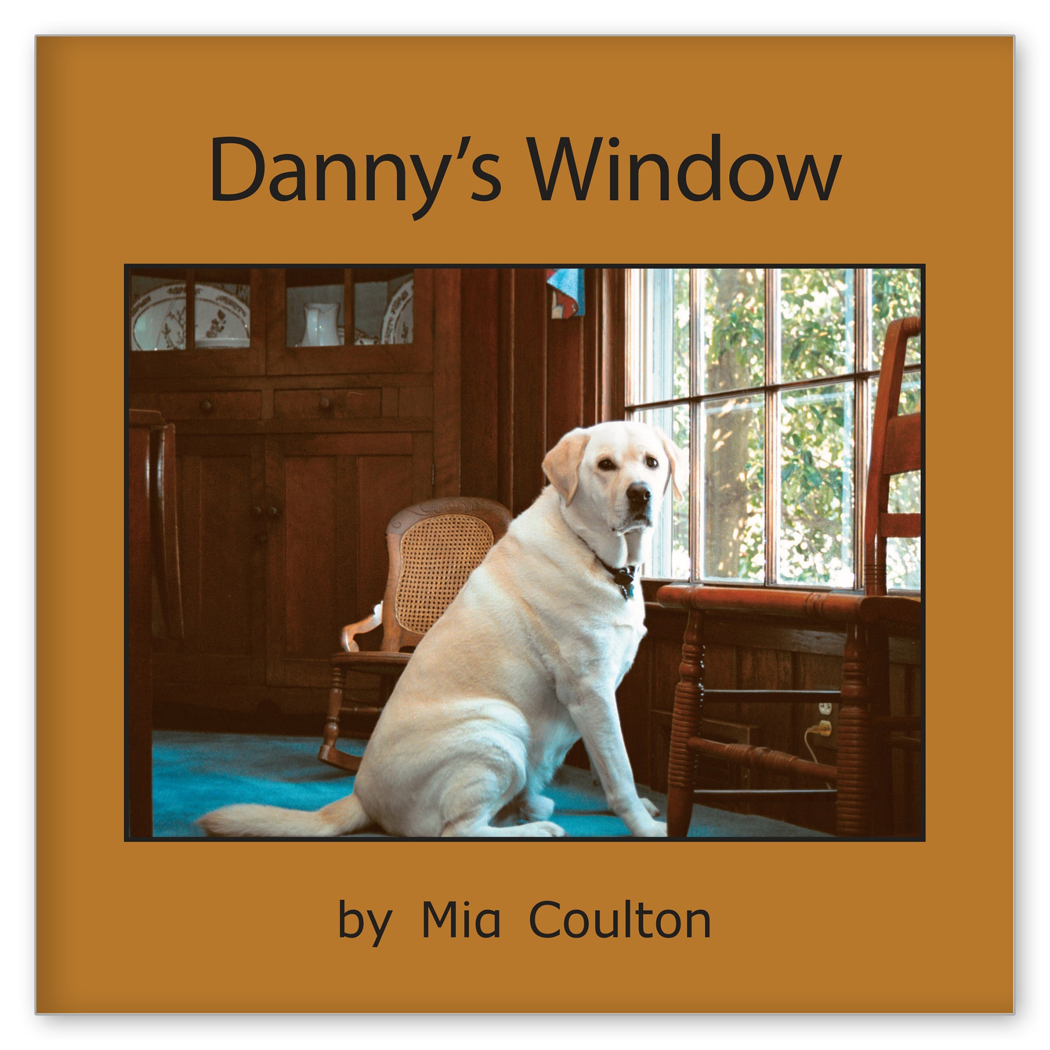 Danny's Window from Danny! Danny! Danny!