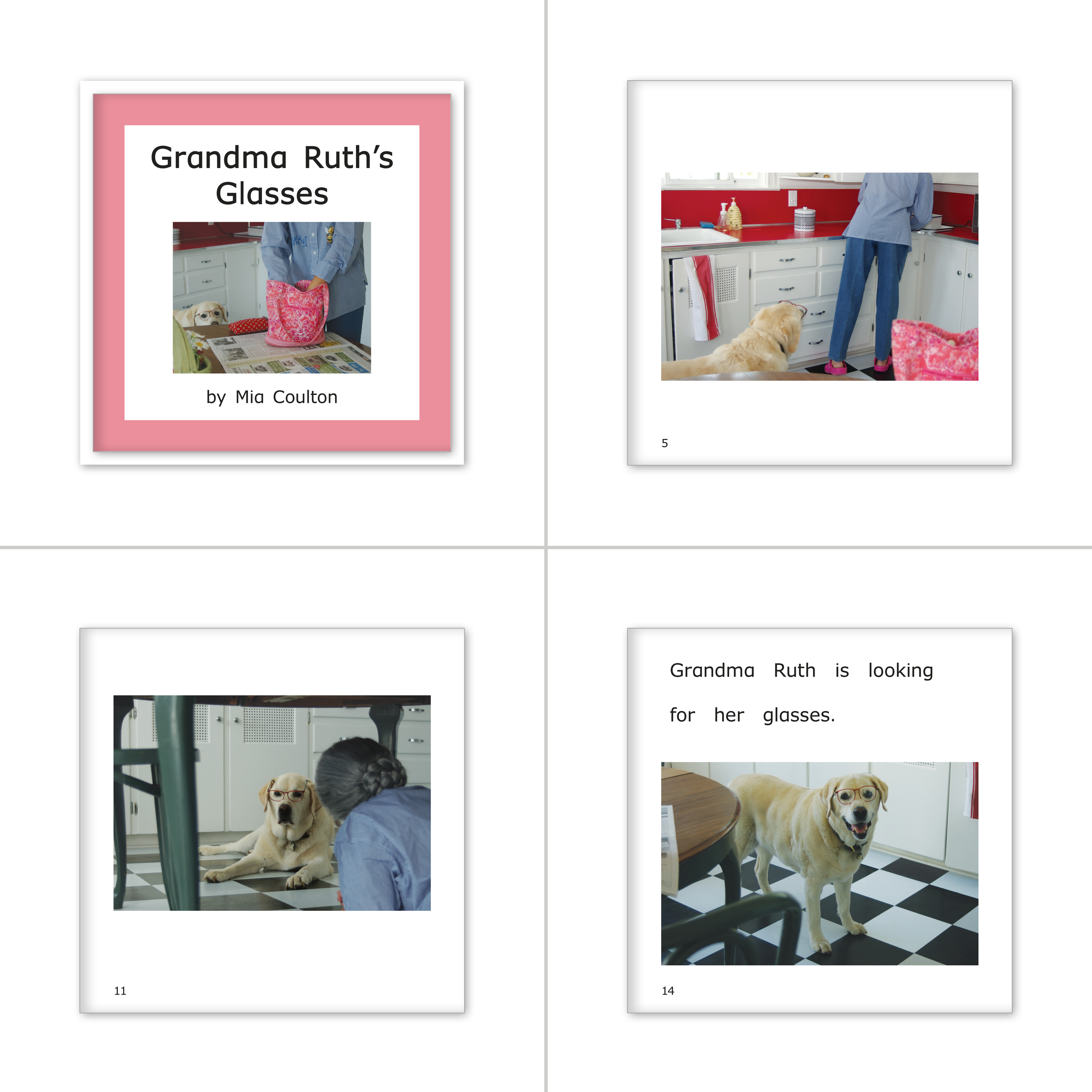 Decodable Practice Set