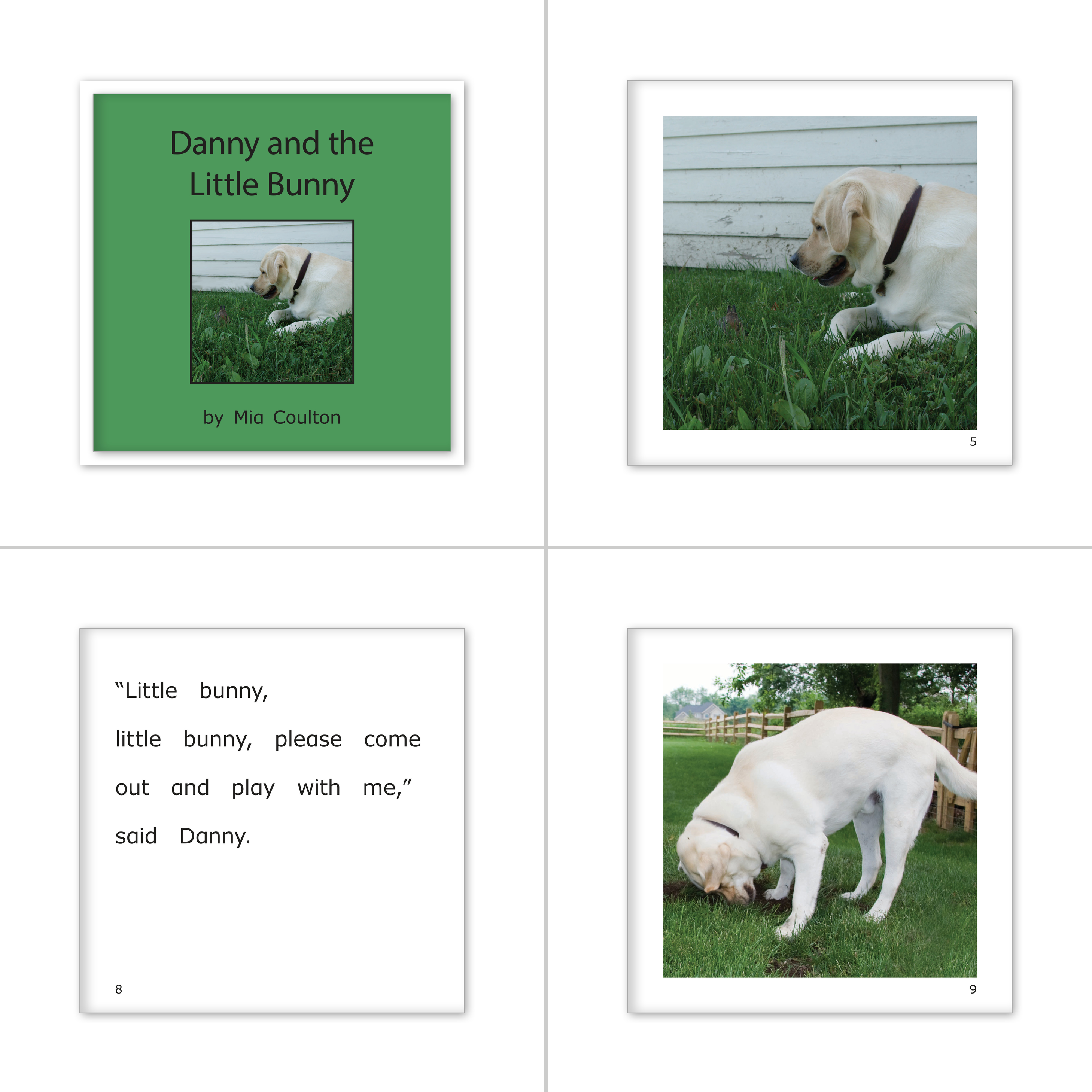 Decodable Practice Set