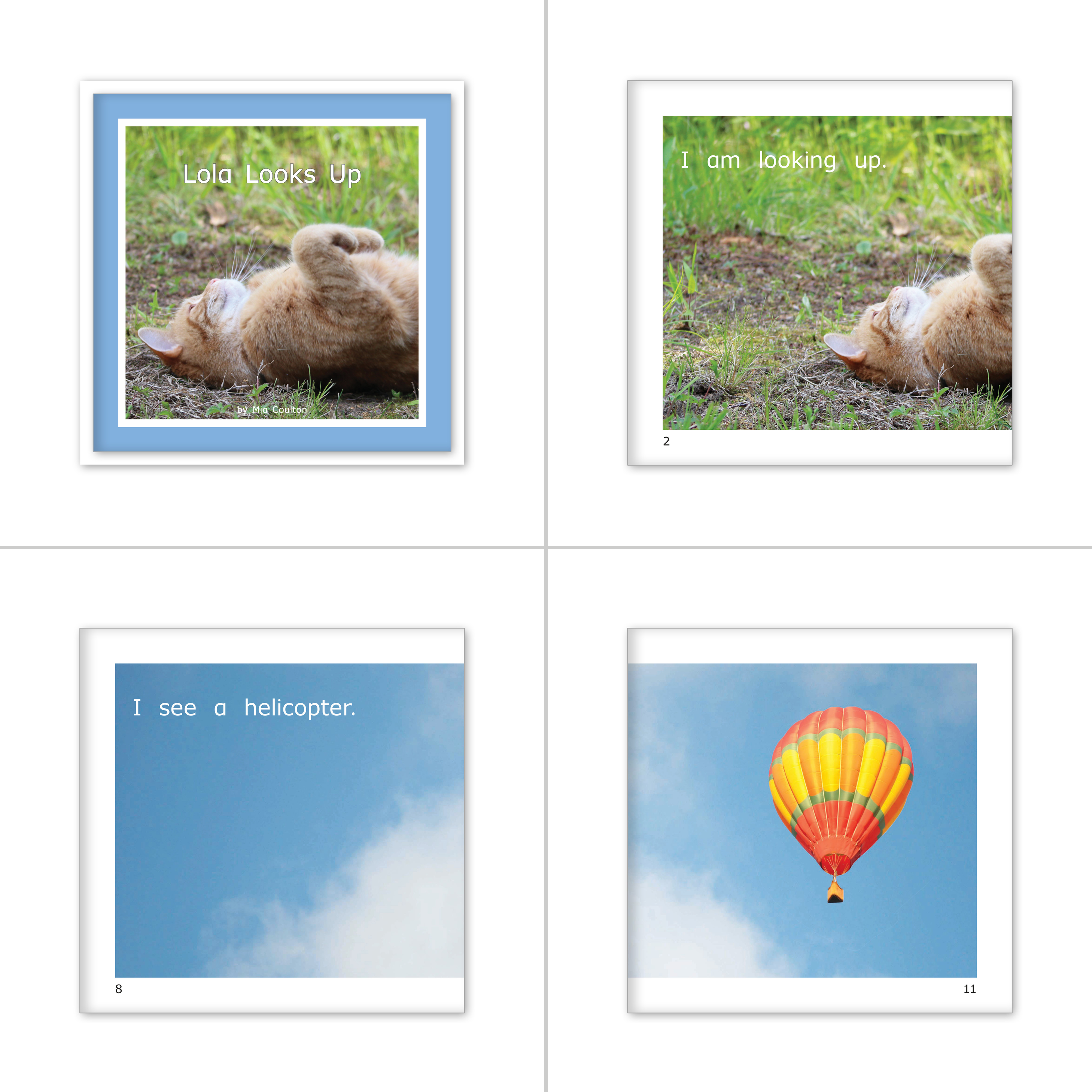 Decodable Practice Set