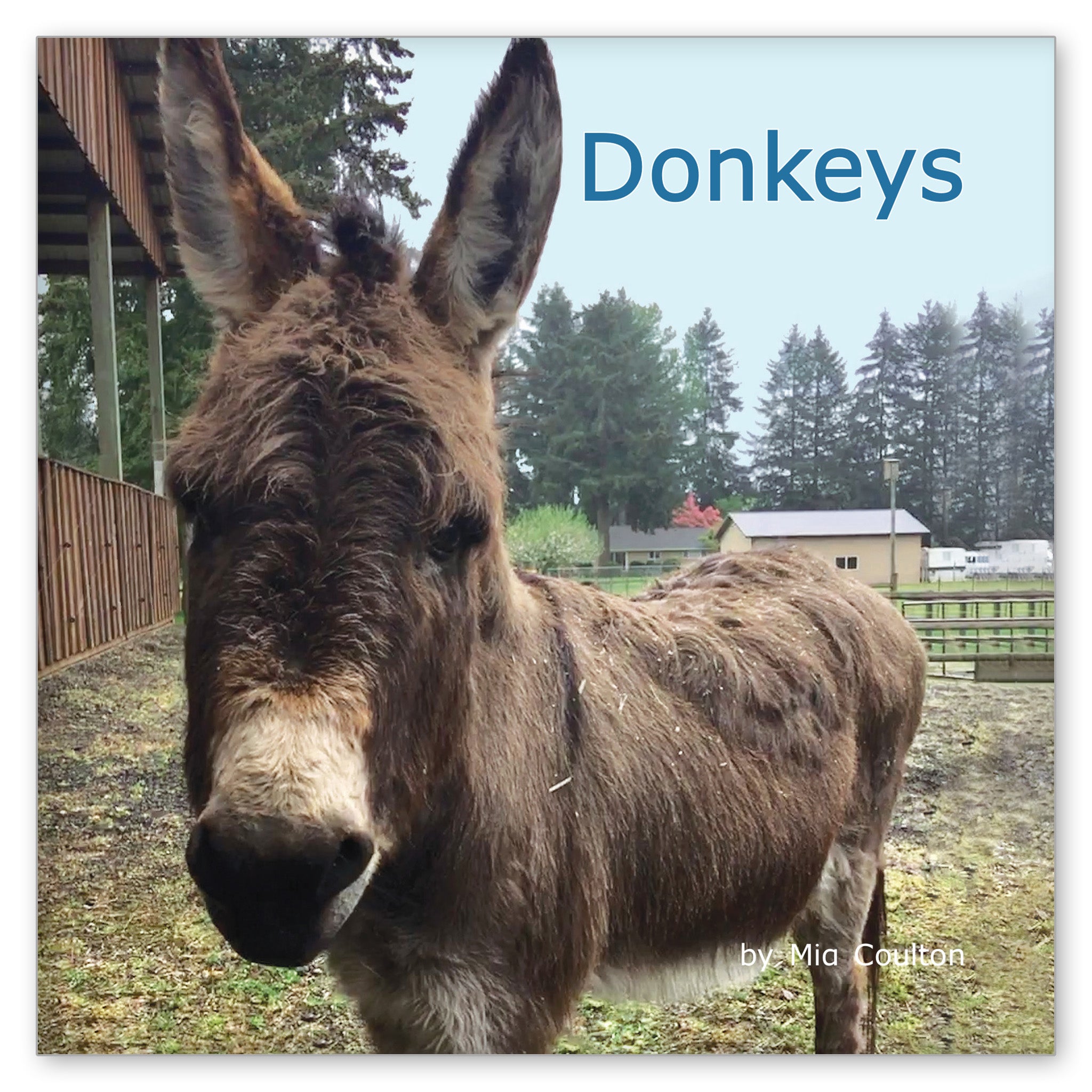 Donkeys from Favorite Farm Animals