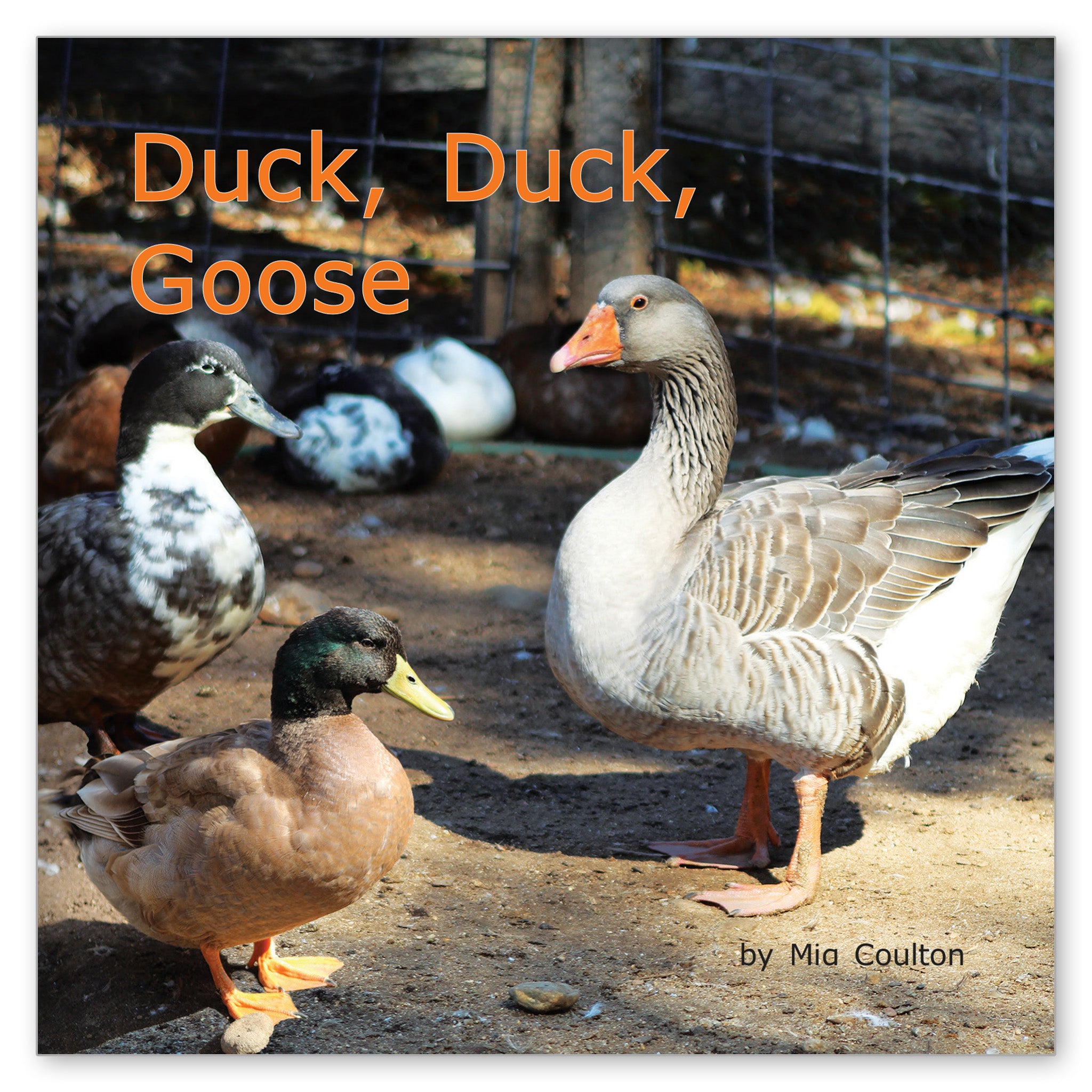 Duck, Duck, Goose! from Favorite Farm Animals
